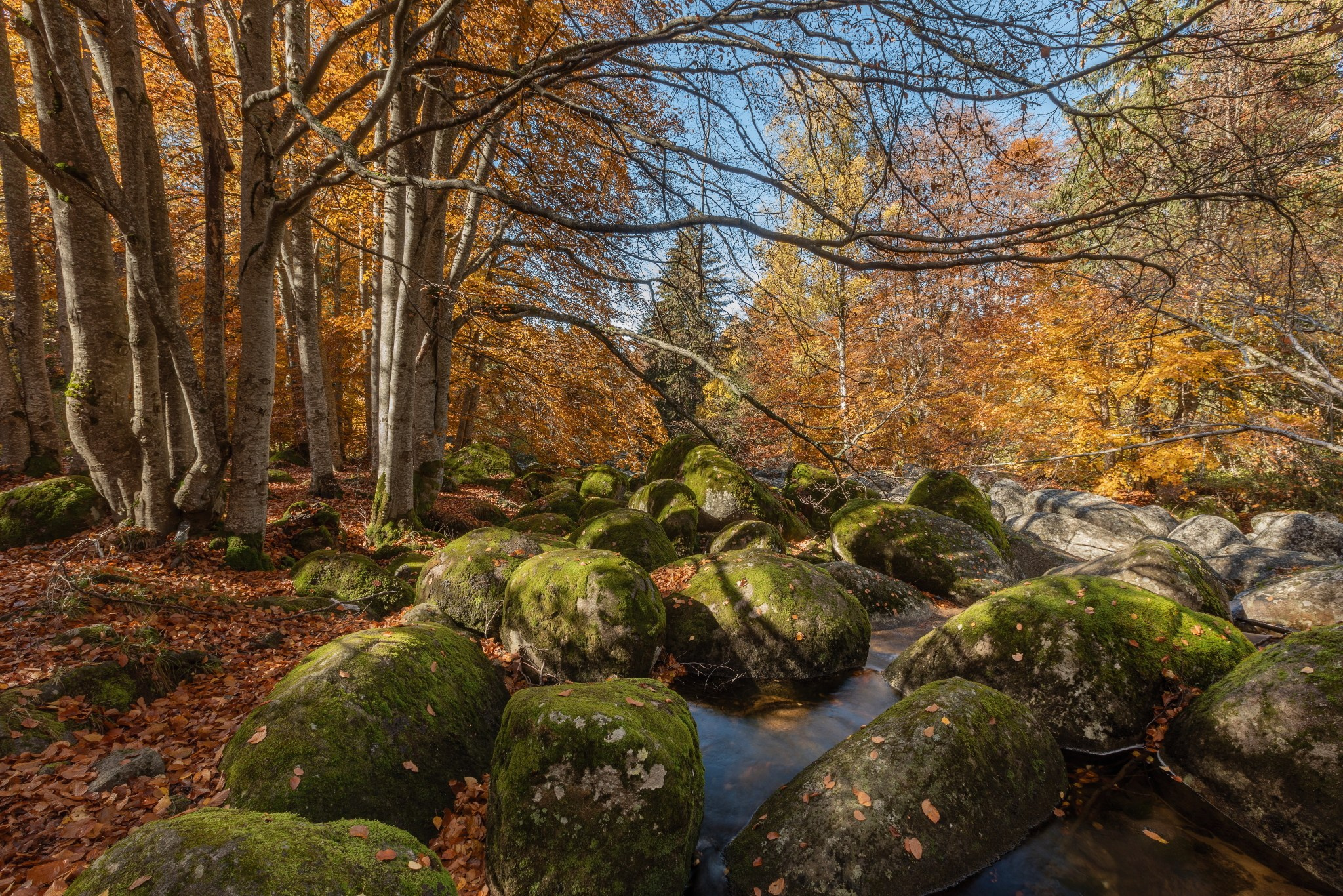 Планини. Александър Сандев - личен сайт на фотографа