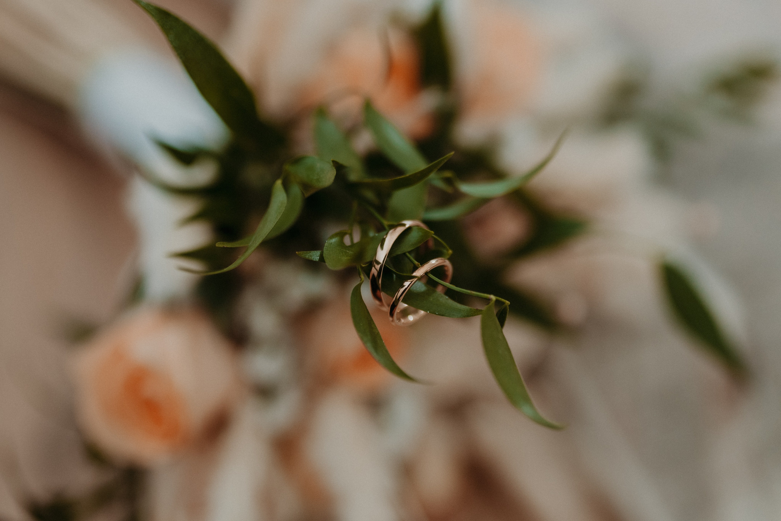 São & Luís. Photographe de mariage et de famille à Braga — Alexandra Mieres Photography