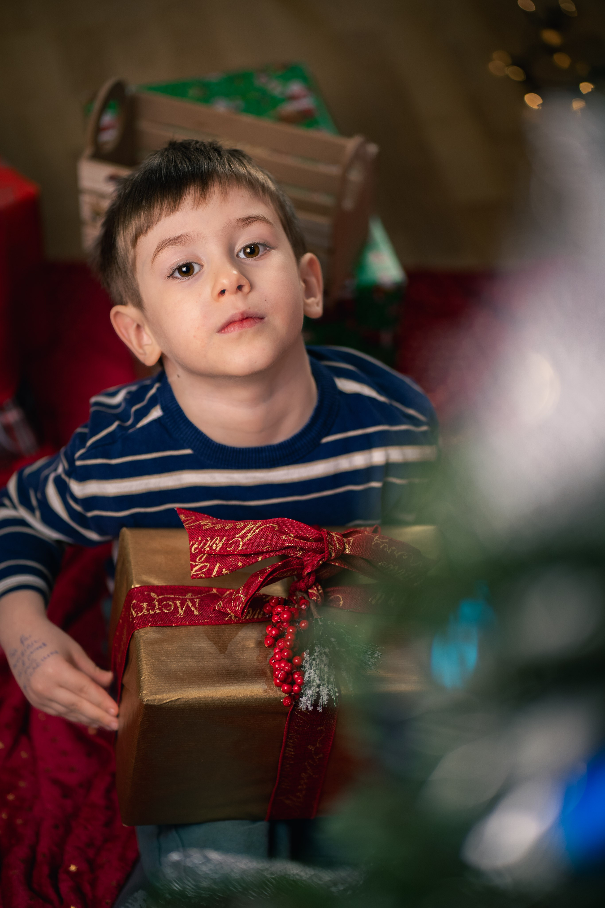 Sedinta foto Craciun — Gradinita Miniterra. Liviu Andrei - Fotograf