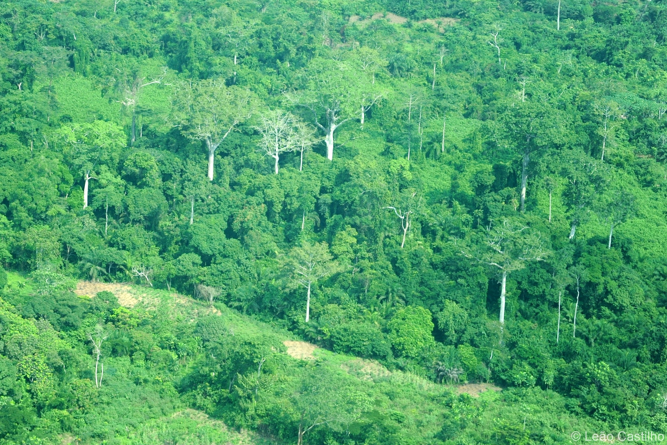 Aerial photos. Simbahalu