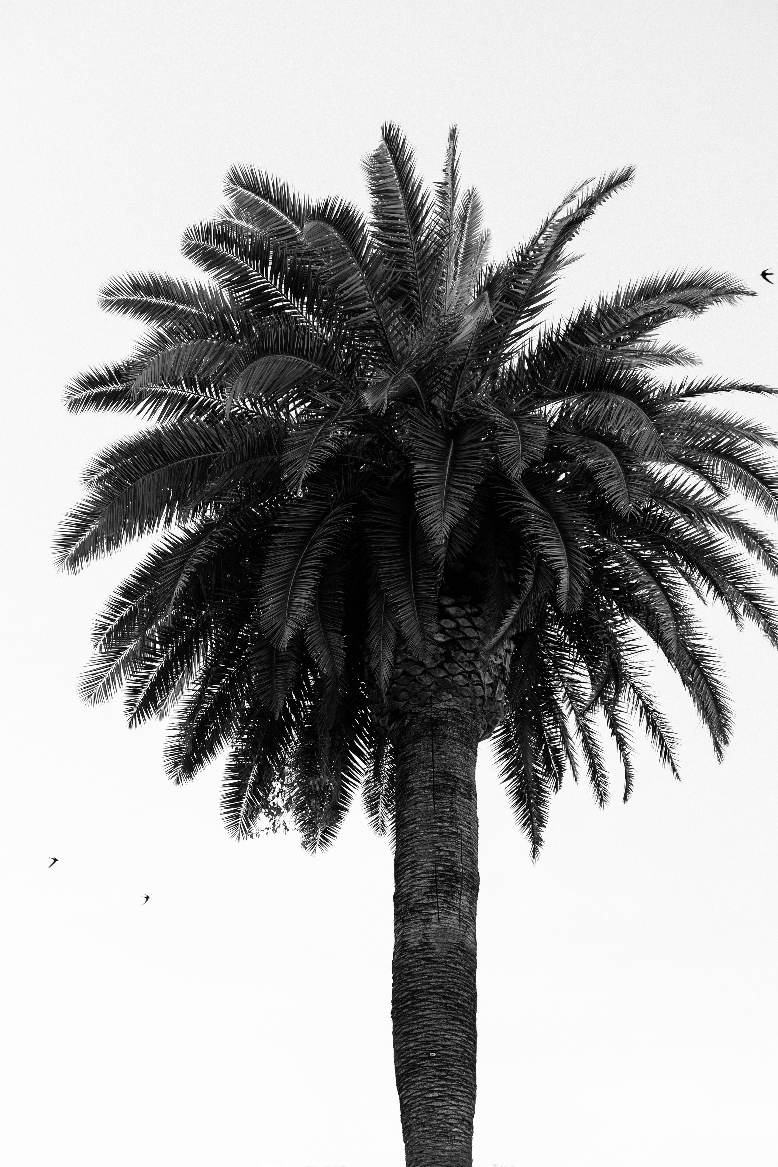 Elopement in Rome. Wedding Photographer Rome Tuscany Como Sicily Puglia Amalfy Italy- Oksana Savenchuk