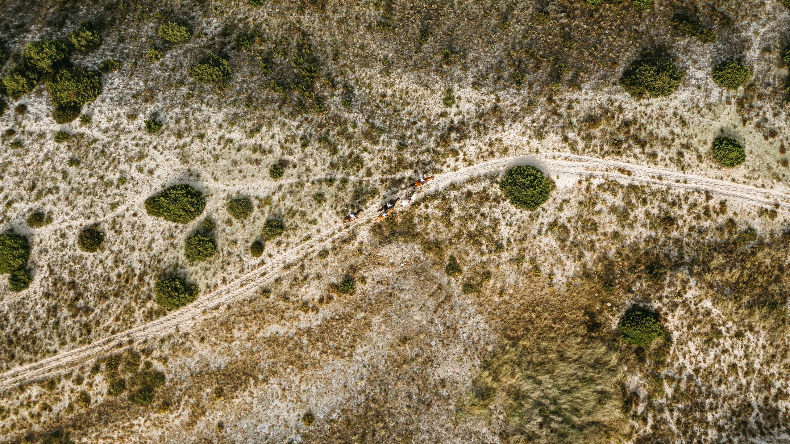 Marlene & Tiago com filhos. Passeios a Cavalo na Praia Peniche | Eco Salgados Agroturismo