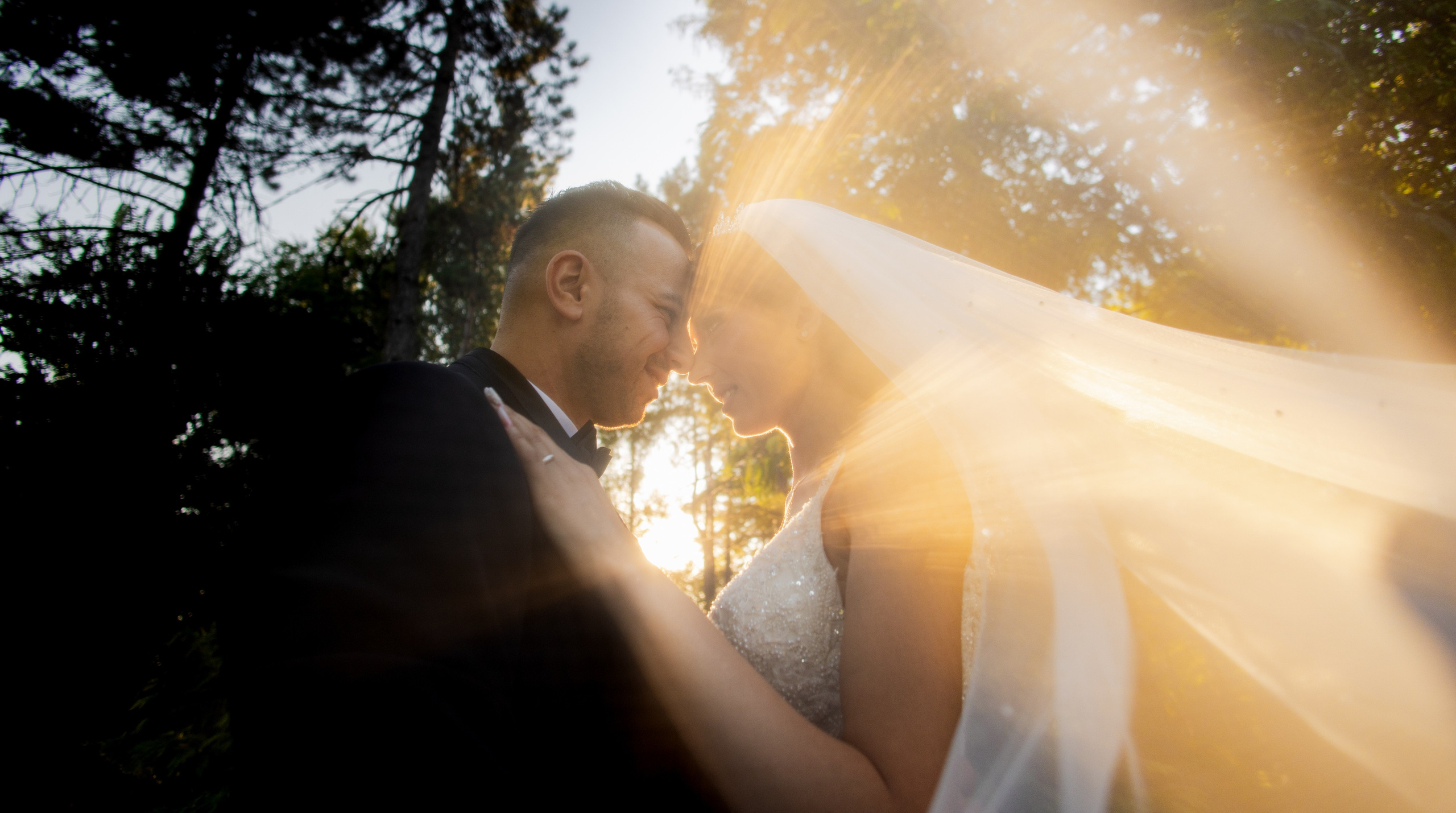 Portofoliu Fotograf Nunta Tulcea — Selectii | Codux. Codux — Fotograf Tulcea | Fotograf Evenimente