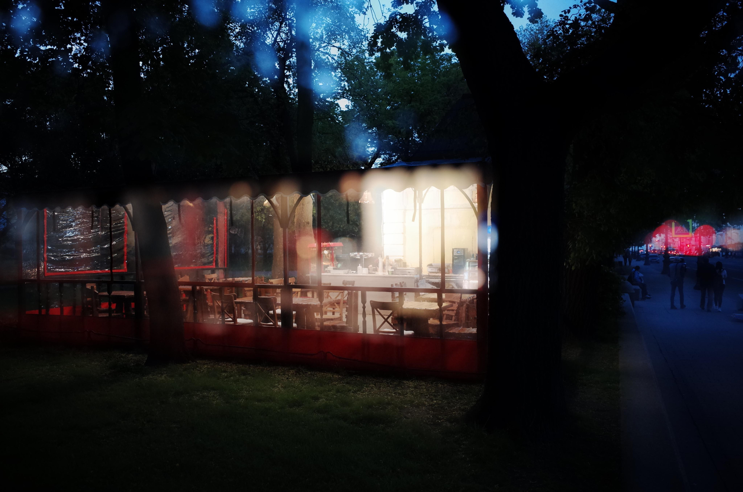 Водный ветер господина Петера. Виктория Дини. Арт-фотография