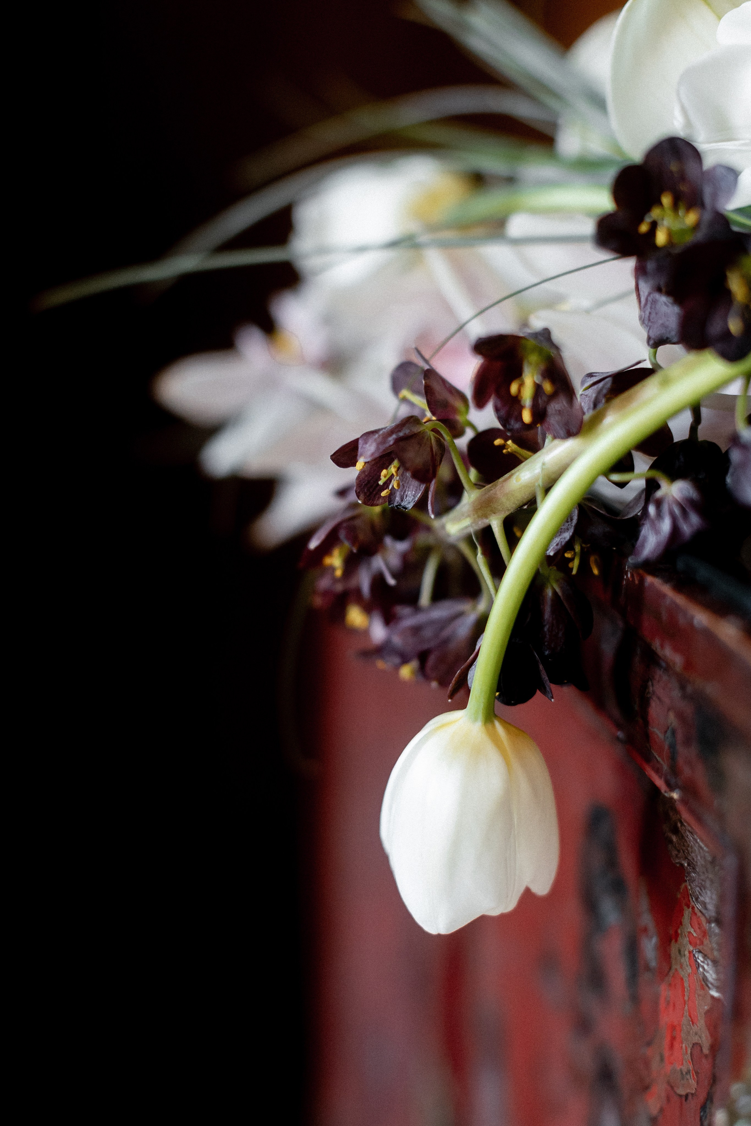 Historic Arley Hall editorial wedding — coming soon........ Timeless Wedding & Event Photography — based London, working across Europe