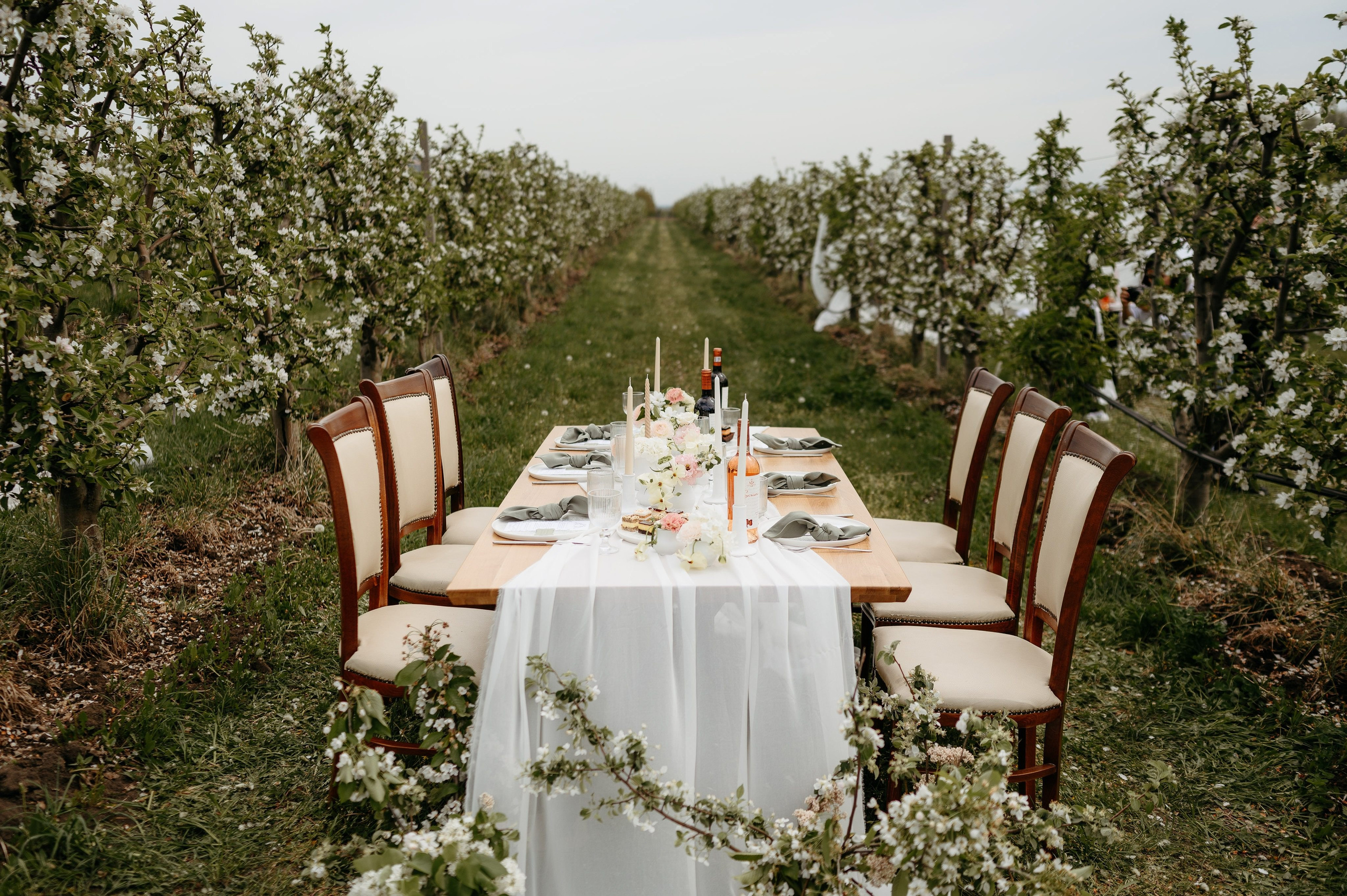 Emilian si Silvia. Valentin Melen - fotograf de nunta 🤍