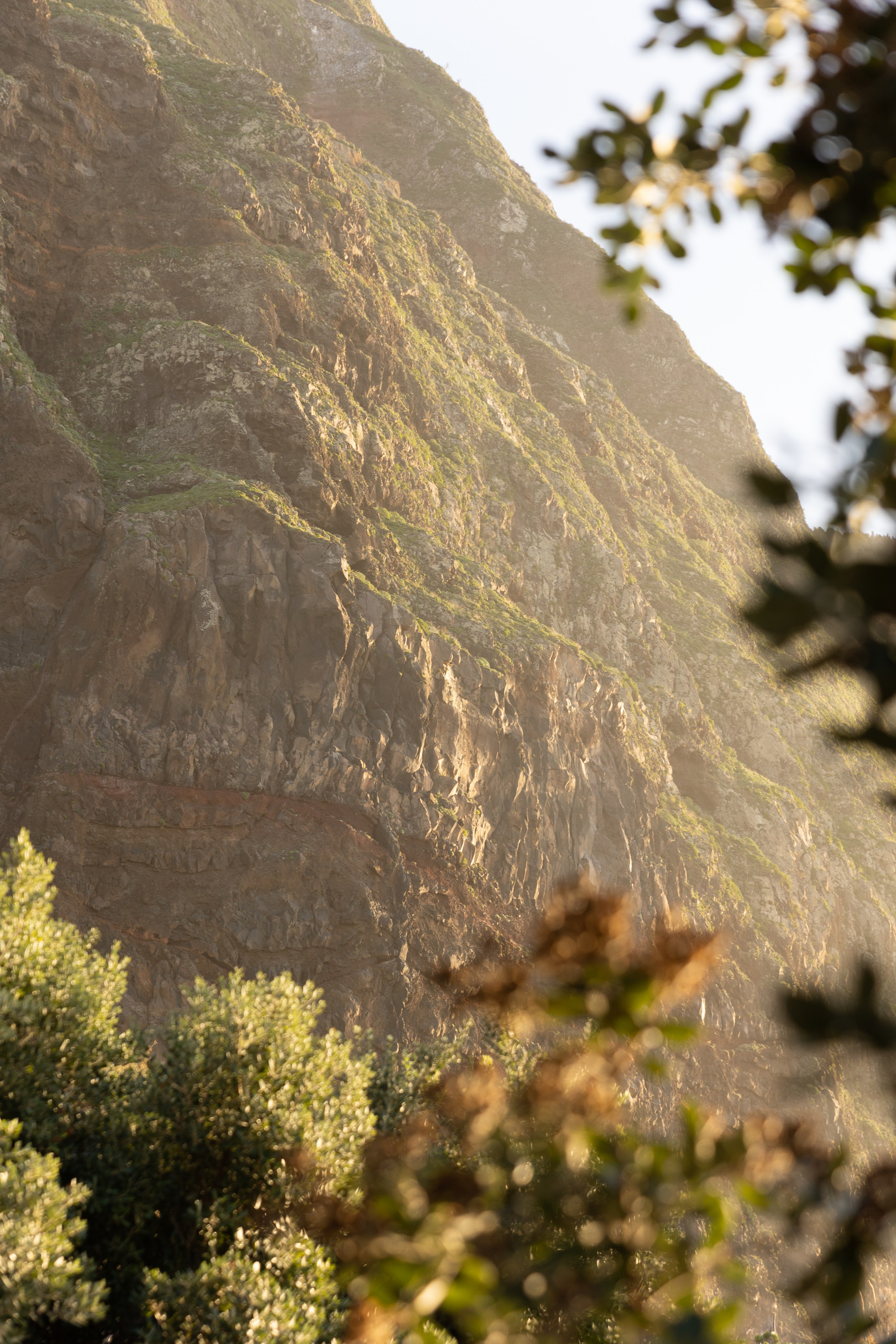 Lost in Madeira. Patricia Morenci — Mountain Adventures for the Wild at Heart