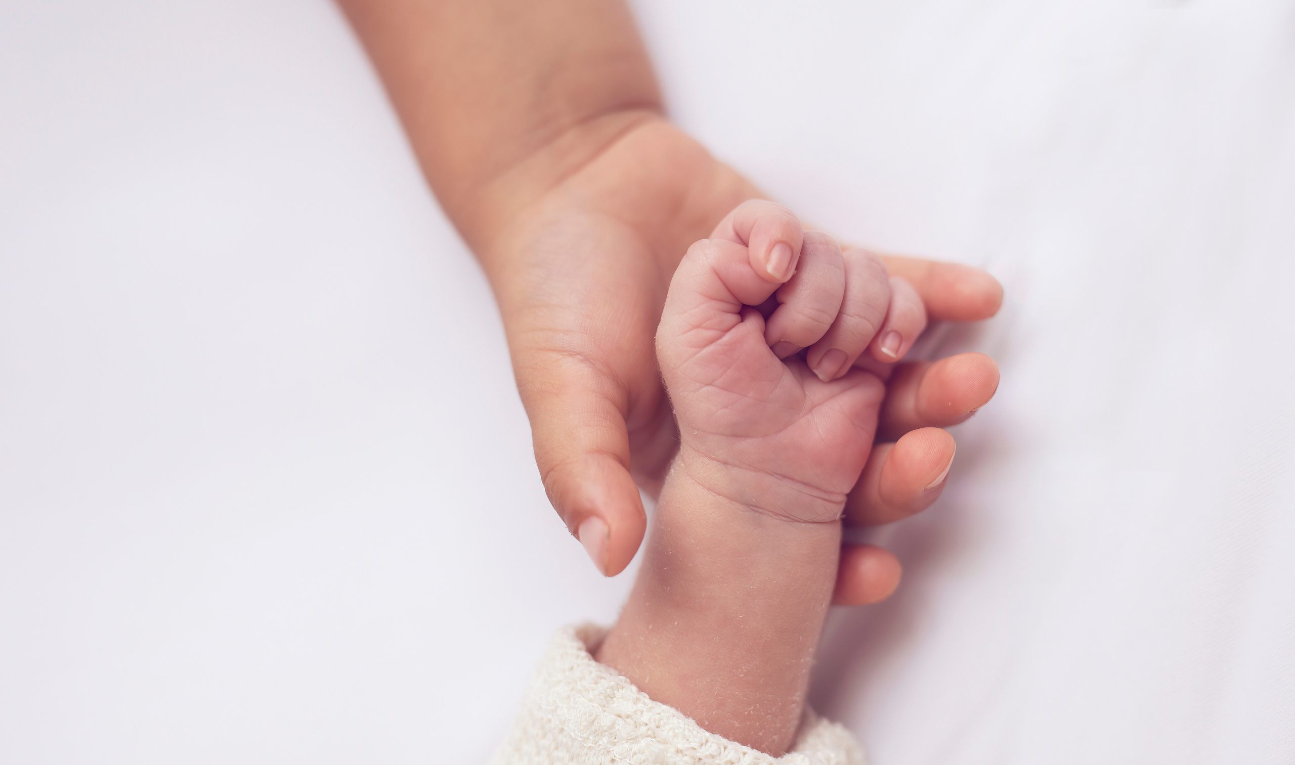 Fotoshoot van het hechtingsmoment