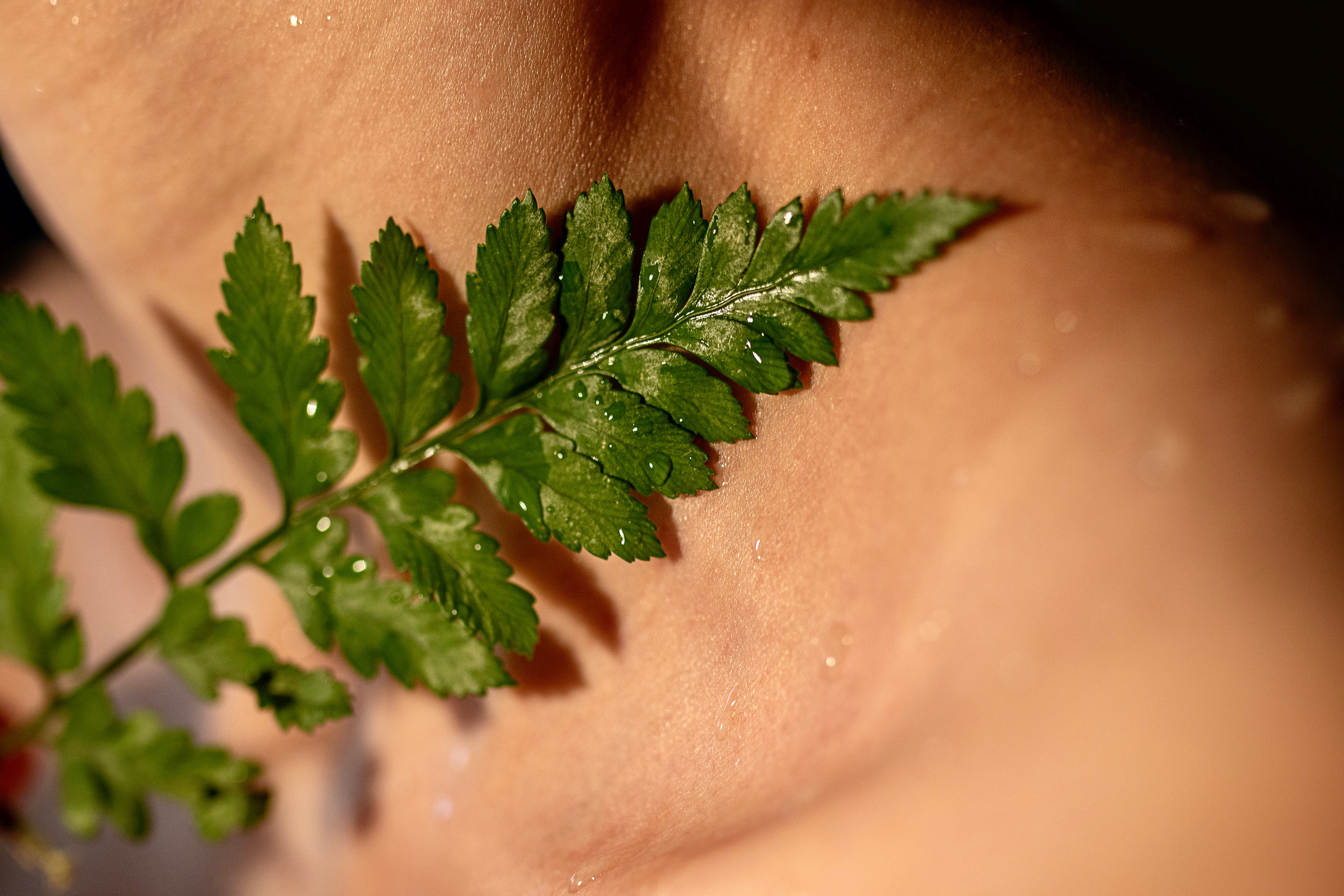 Studio Art Portraits. Family Photographer in Greece