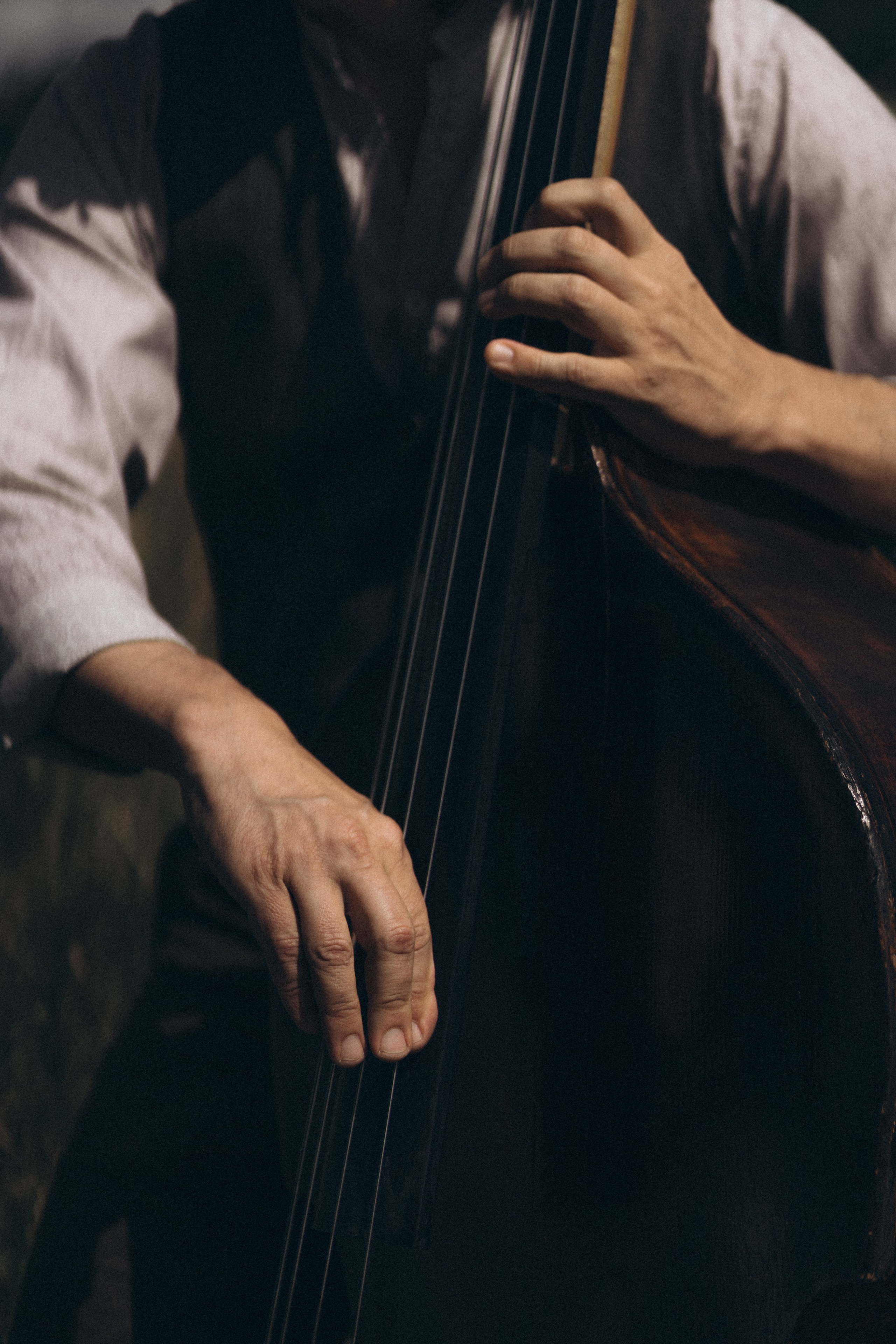 Nahaufnahme, Musiker spielt Kontrabass – künstlerisches Musikportrait