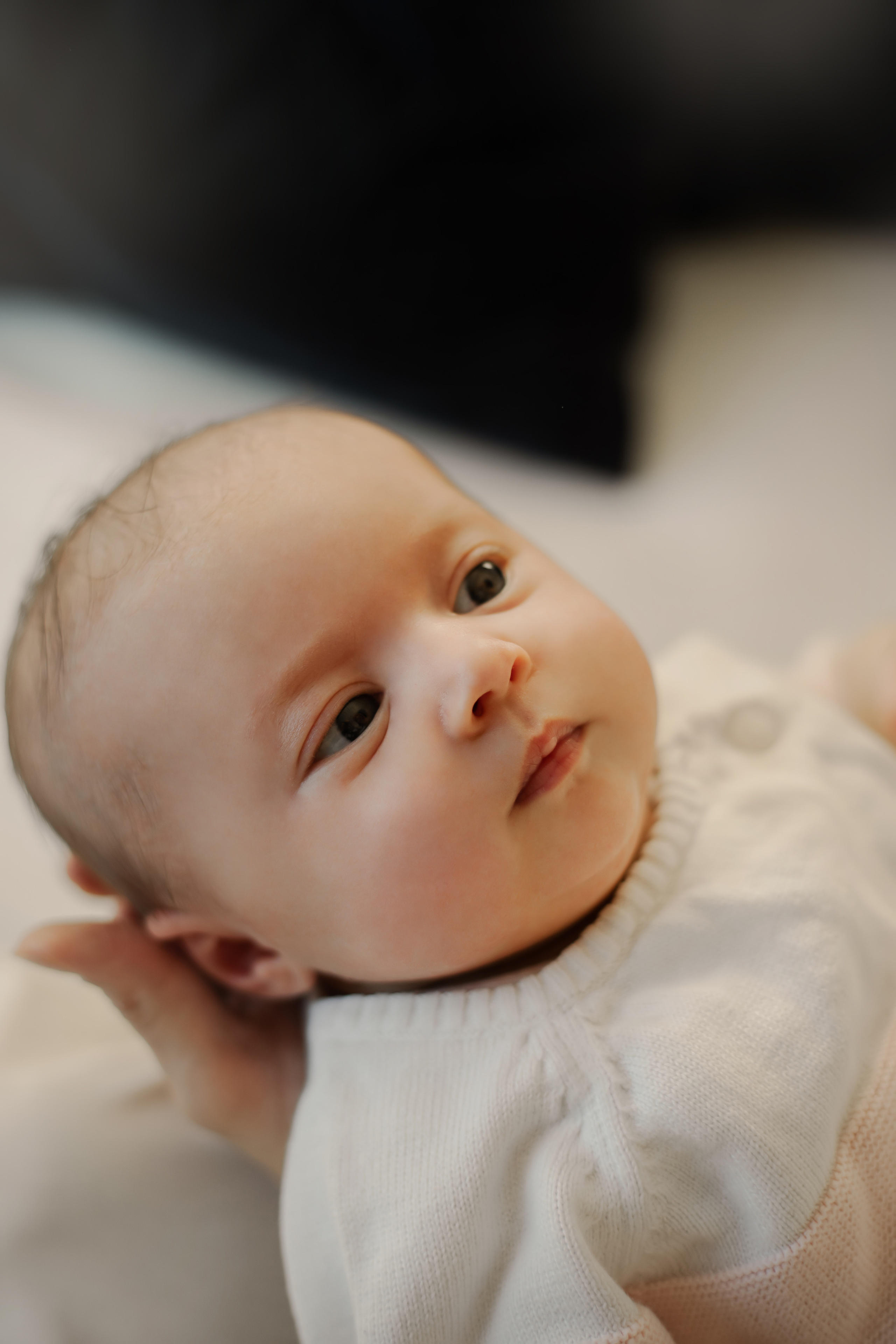 Pricing. Lara Ilin Photography