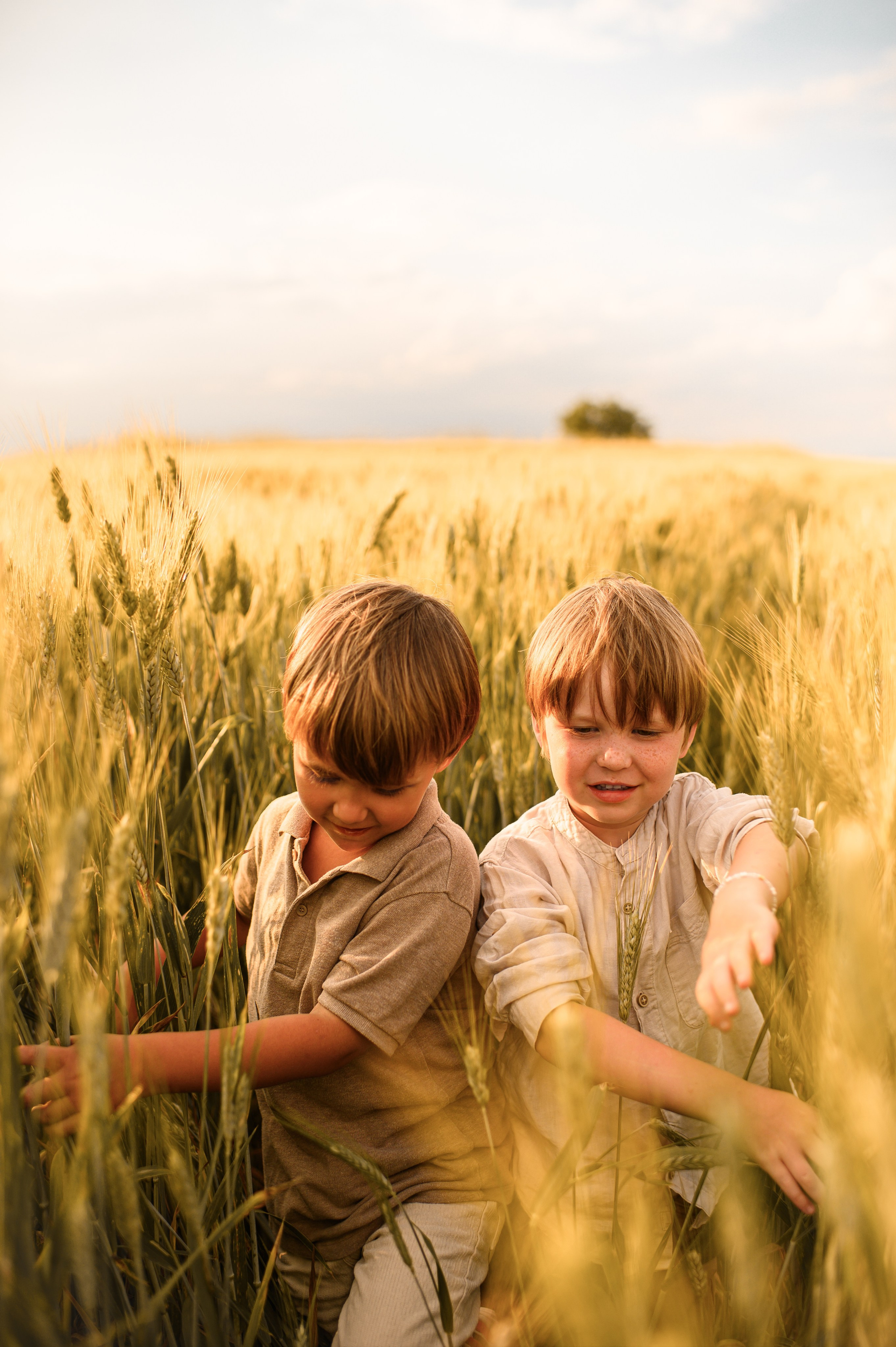 Wheat fields. Family, children, portrait, and event photography in Thessaloniki
