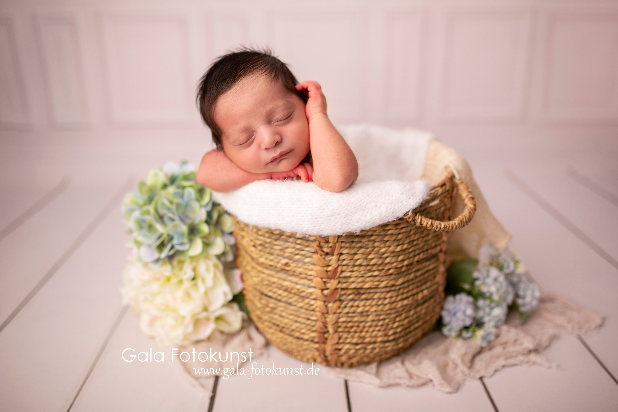 Neugeborene. Neugeborenen, Familien, Geschwister Fotografin aus Delmenhorst