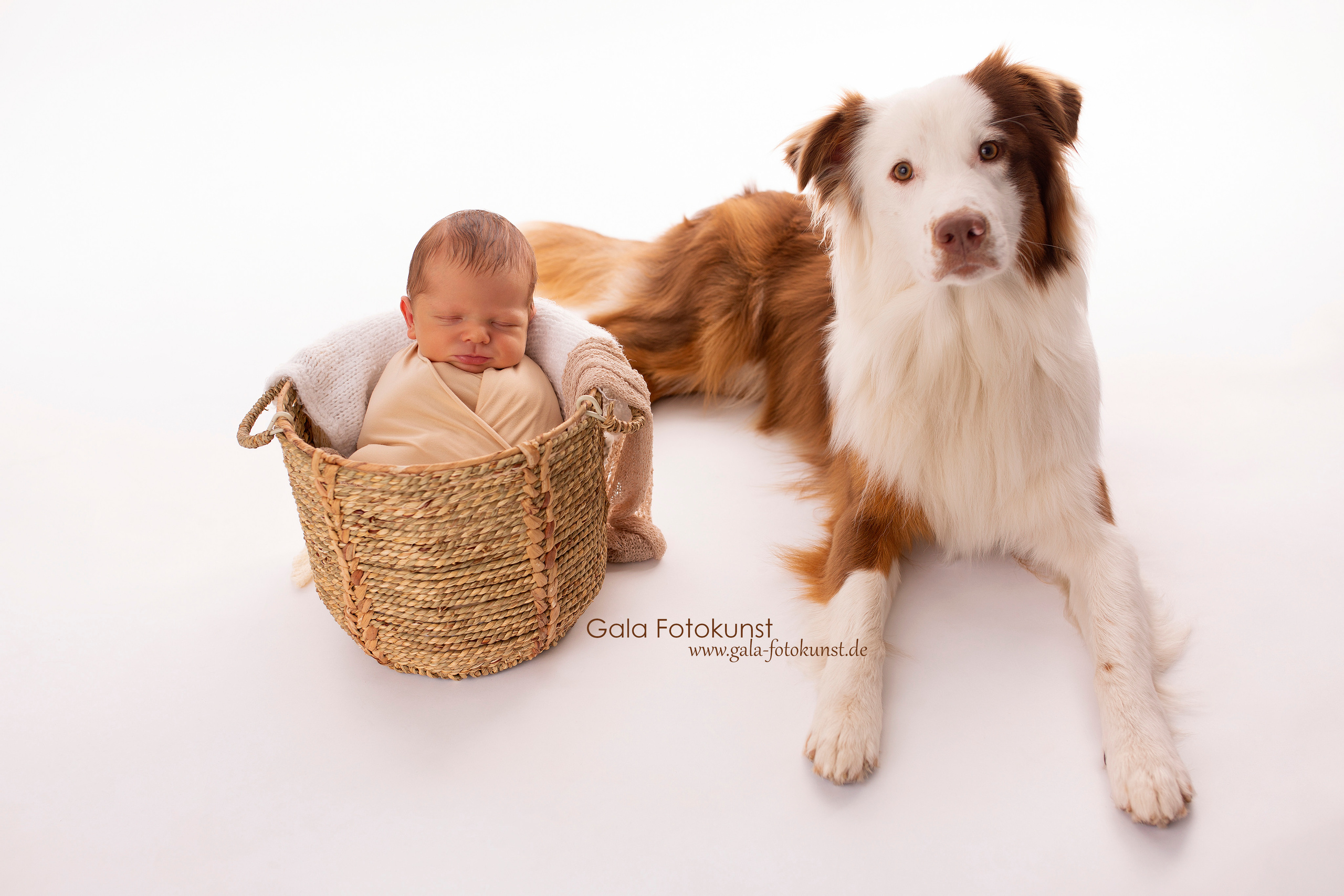 Neugeborene. Neugeborenen, Familien, Geschwister Fotografin aus Delmenhorst