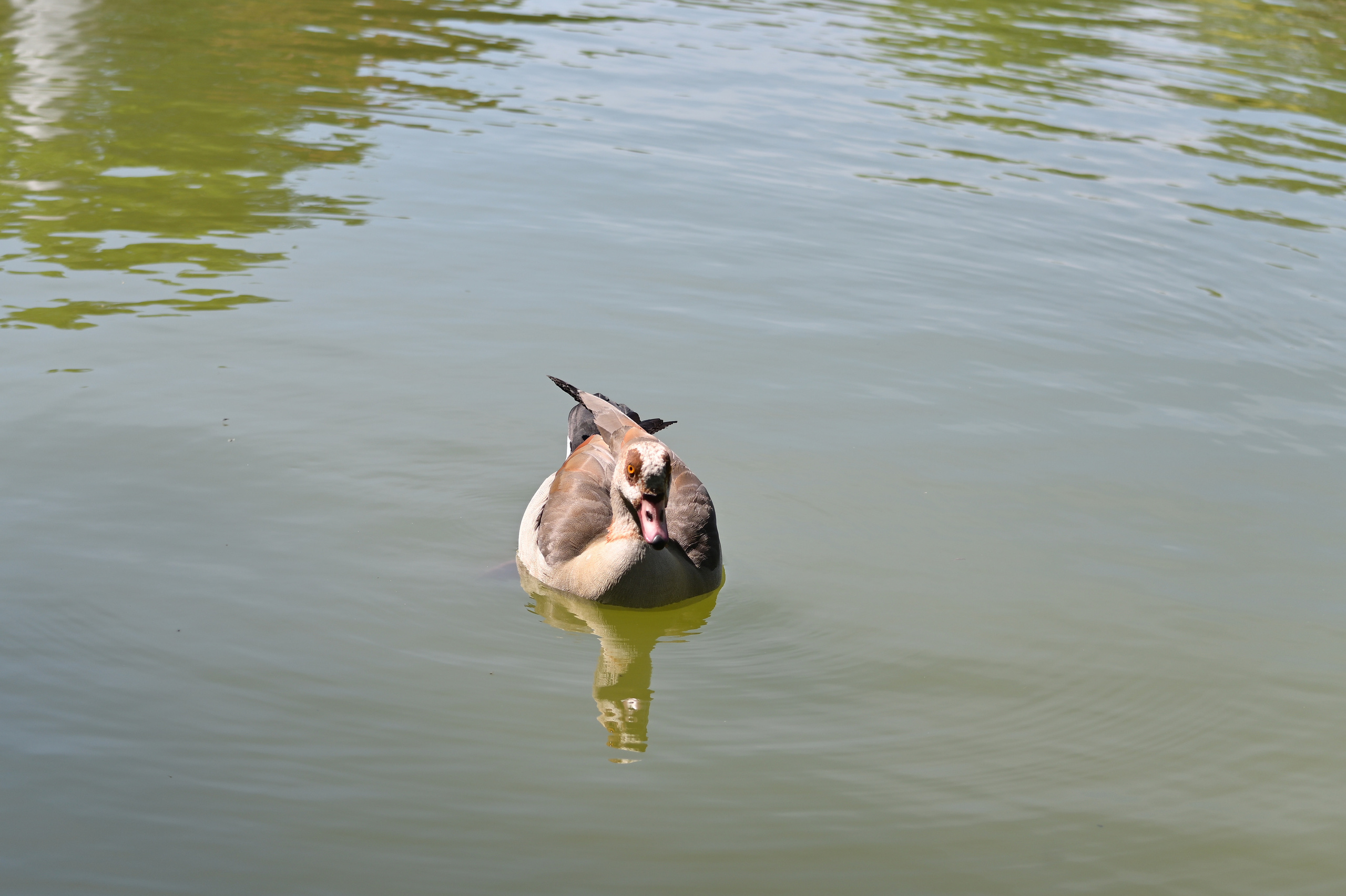 Nature Luxembourg. Милок и Кирок это позитивные и реальные персоны из Люксембурга, много