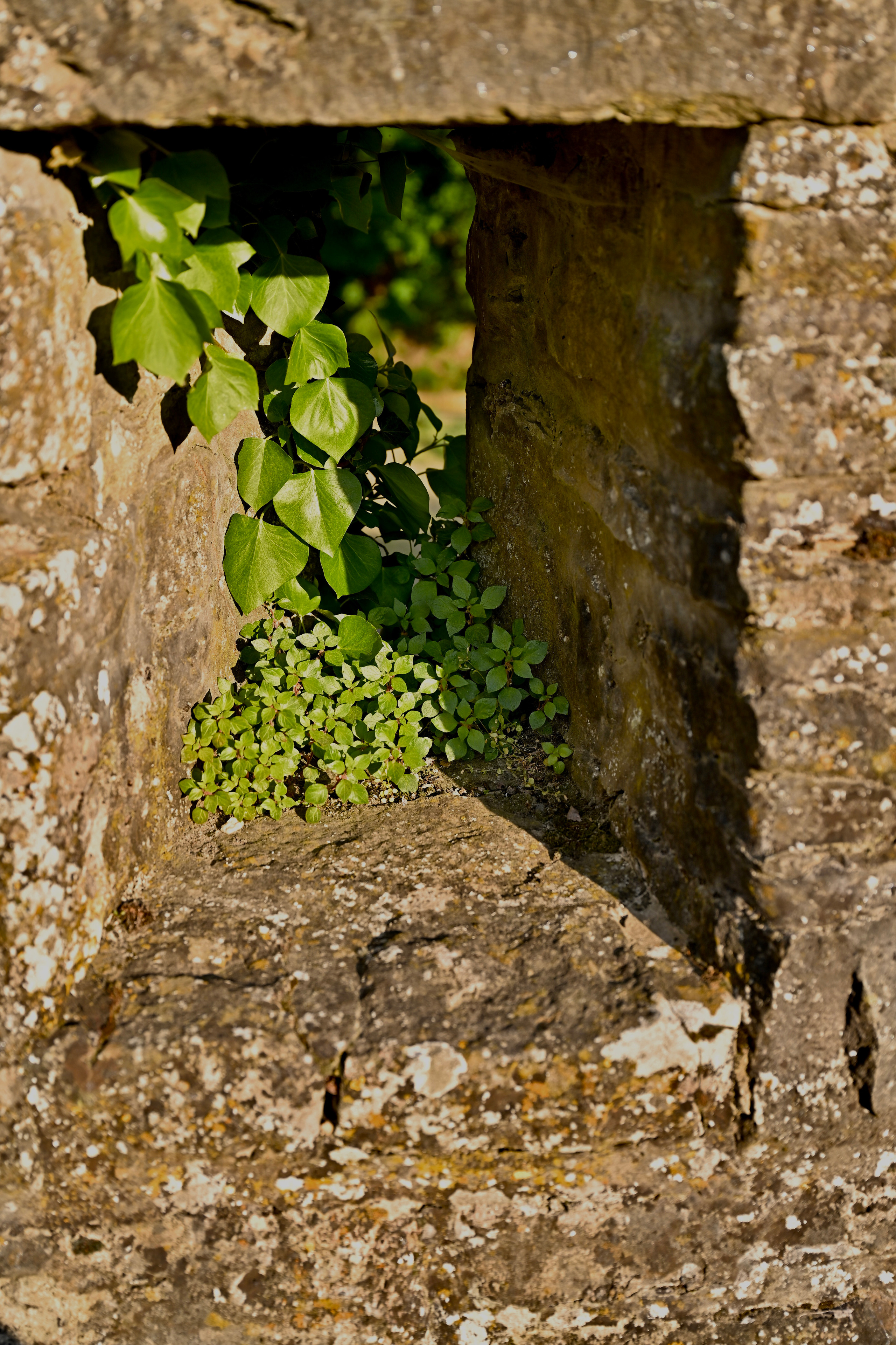 Nature Luxembourg. Милок и Кирок это позитивные и реальные персоны из Люксембурга, много