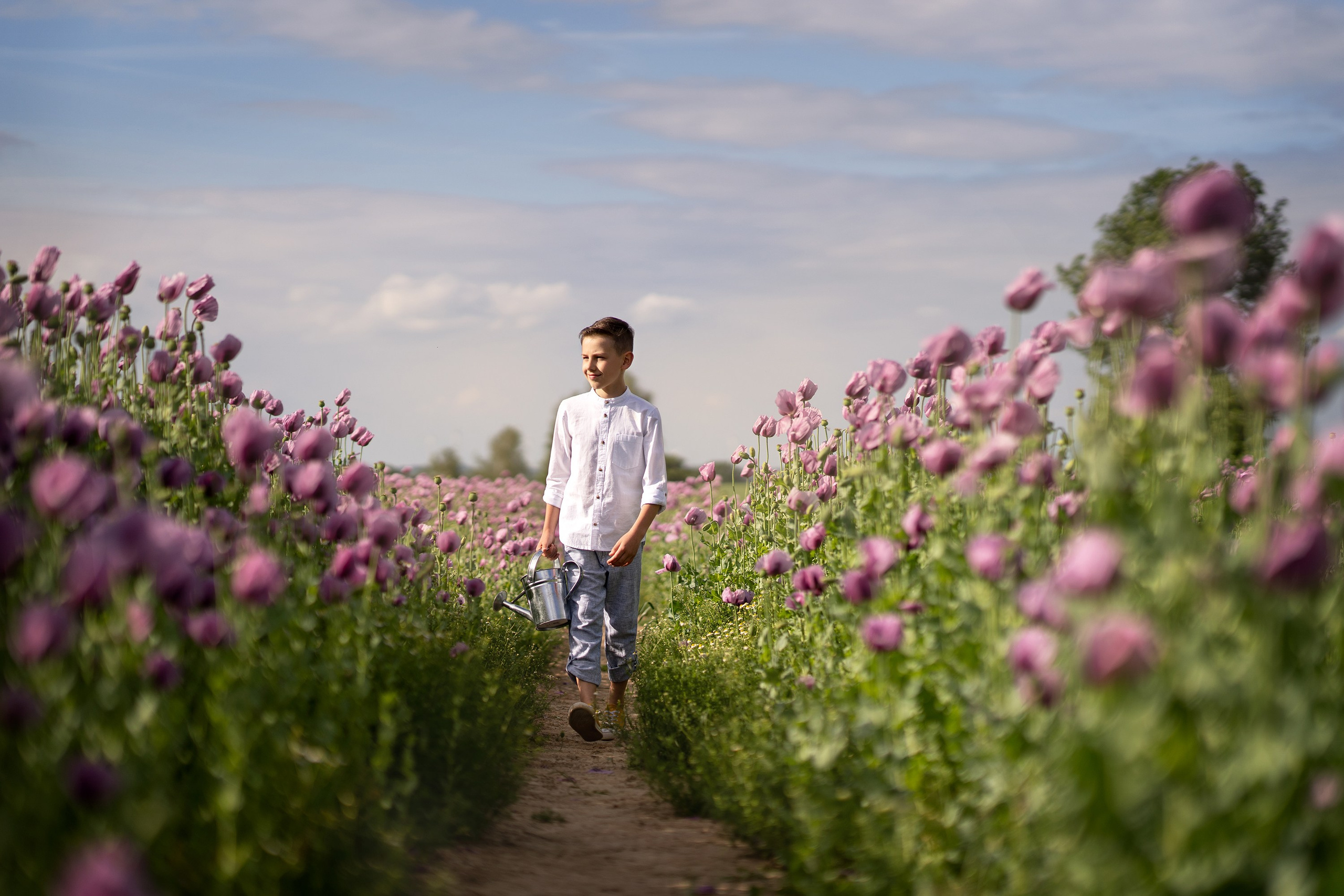 Kinder. Hochzeit und Familien Foto und Video