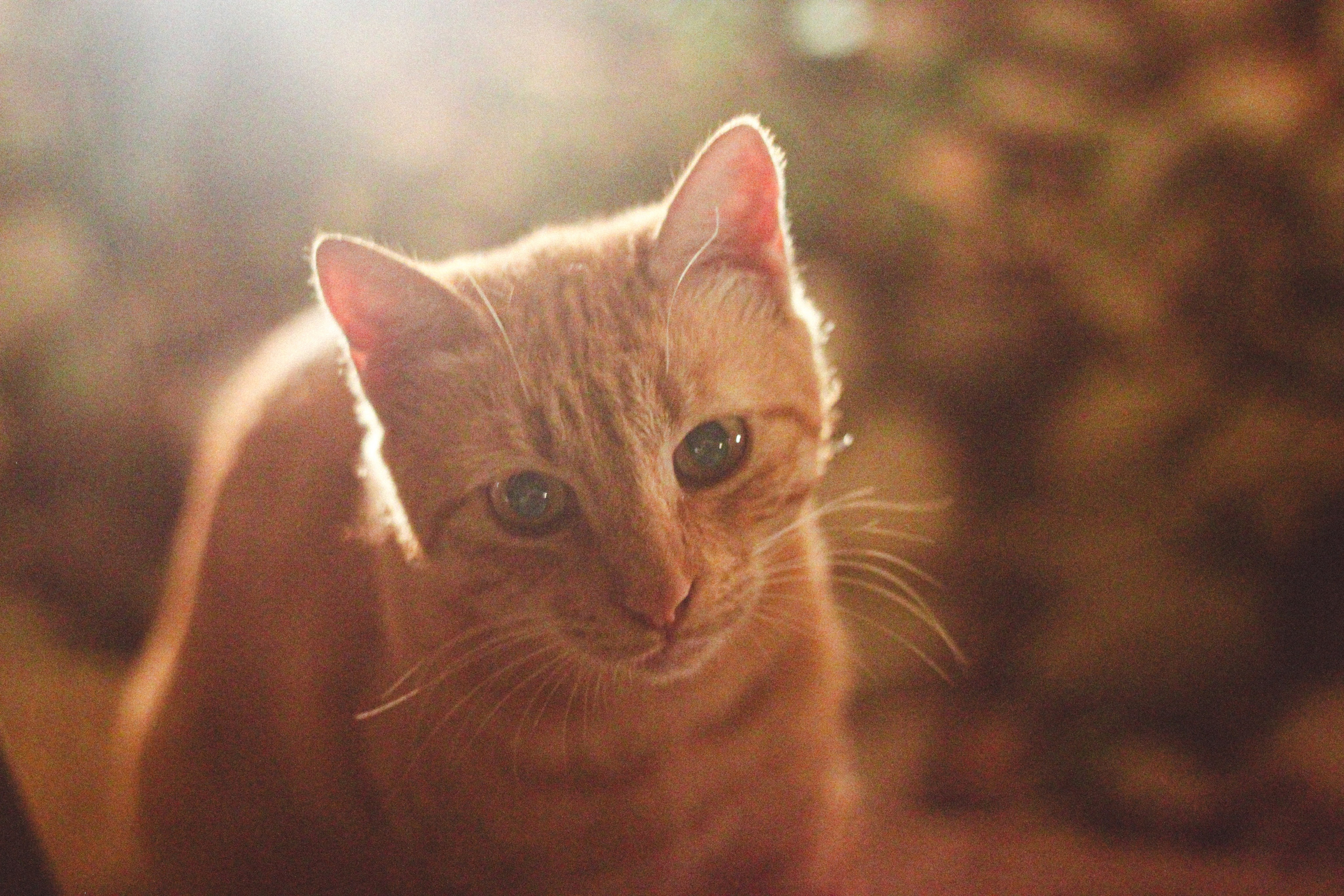 Documentary Photography & Film — Real Life, Unfiltered. Lifestyle & Documentary Photography in Bristol, Bath & London — def0cused