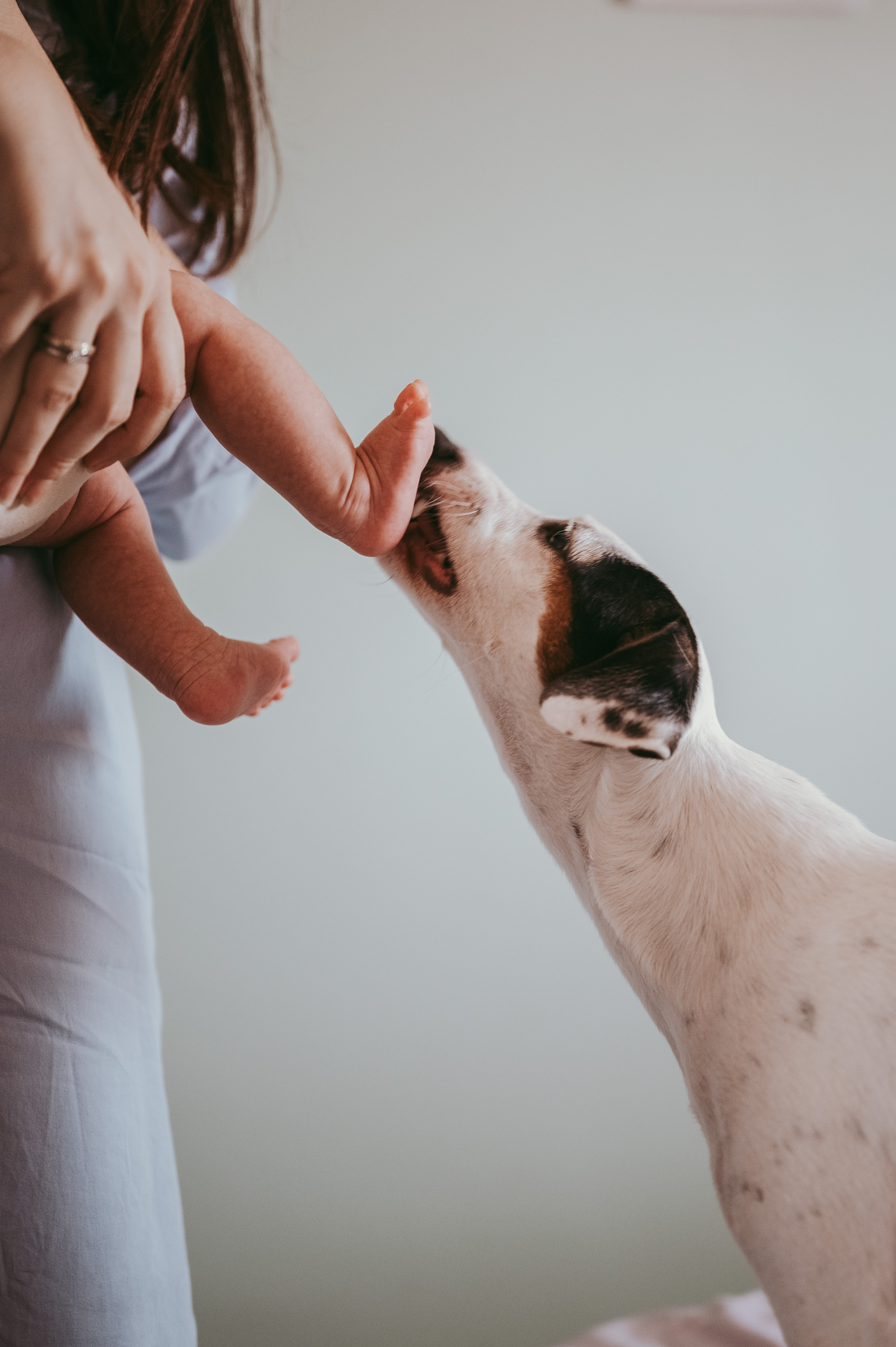 Porodicno fotografisanje. Deciji i porodicni fotograf u Beogradu Oksana Skendzic