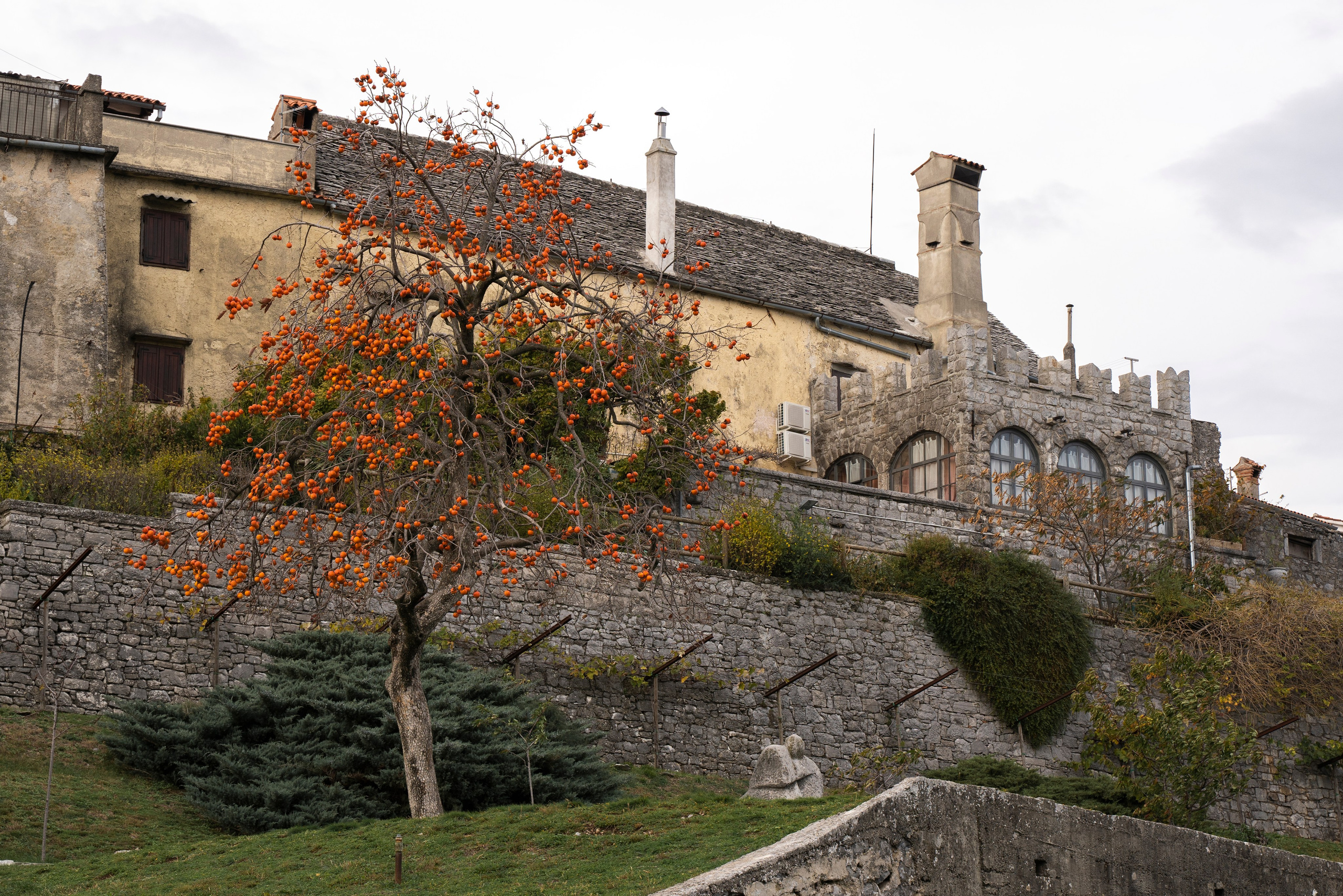 ŠTANJEL. Фотограф и видеограф Мария Бортякова из Словении: событийная, портретная и видеосъемка по всей Словении