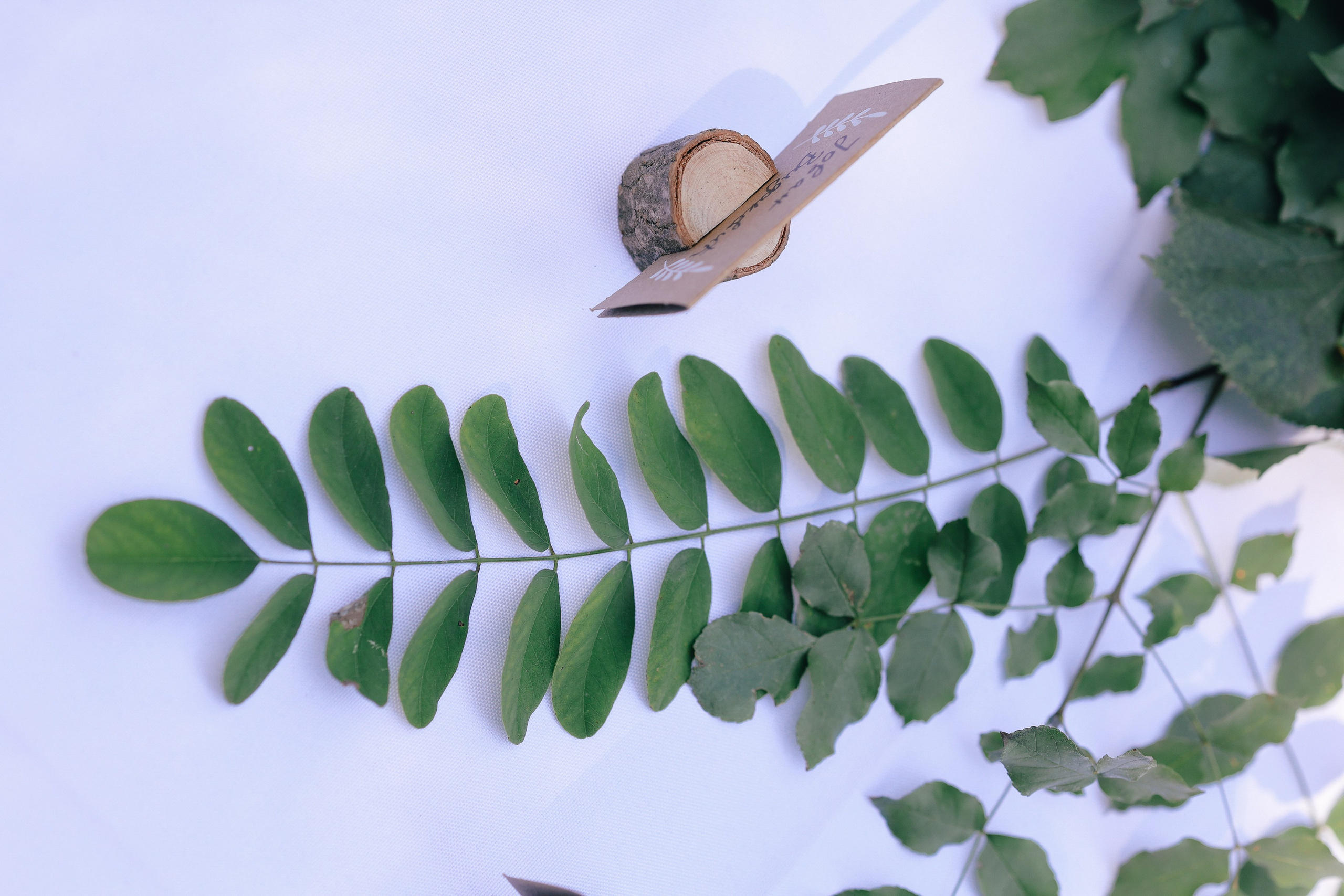 A. Vlada toskic wedding and event photographer