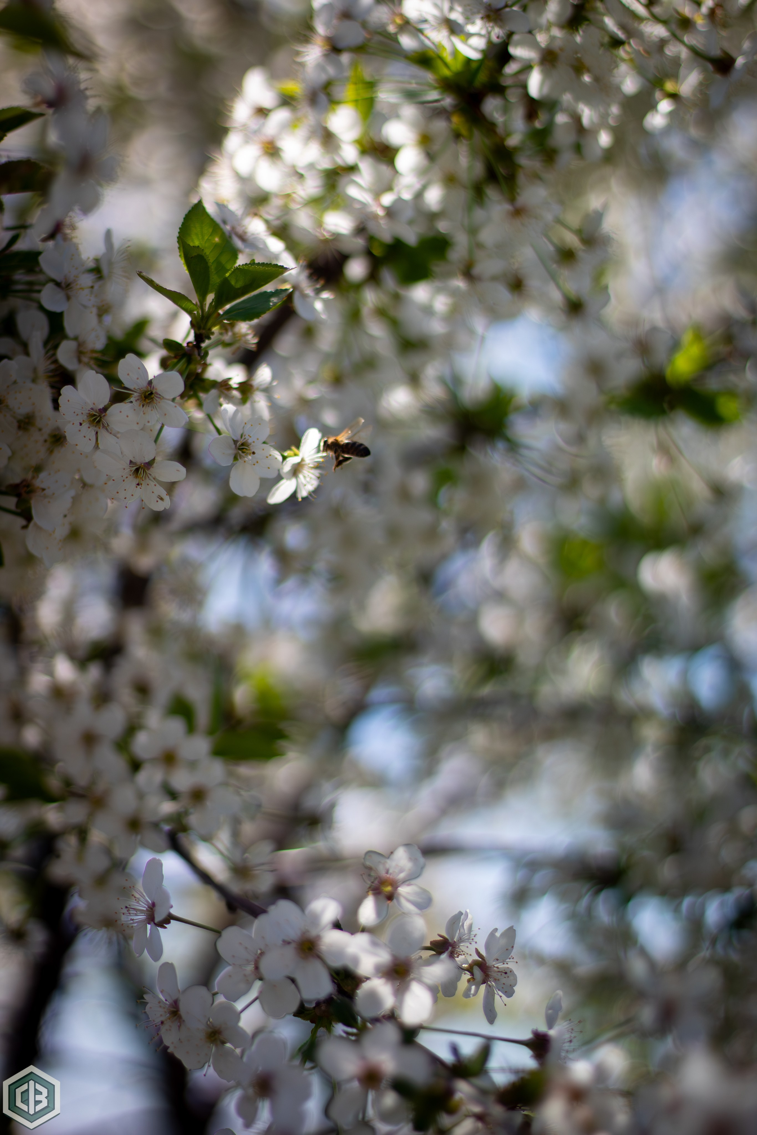 Trip to Mileanca. Cristian Baltag | Photography | Capturing Moments in Iasi