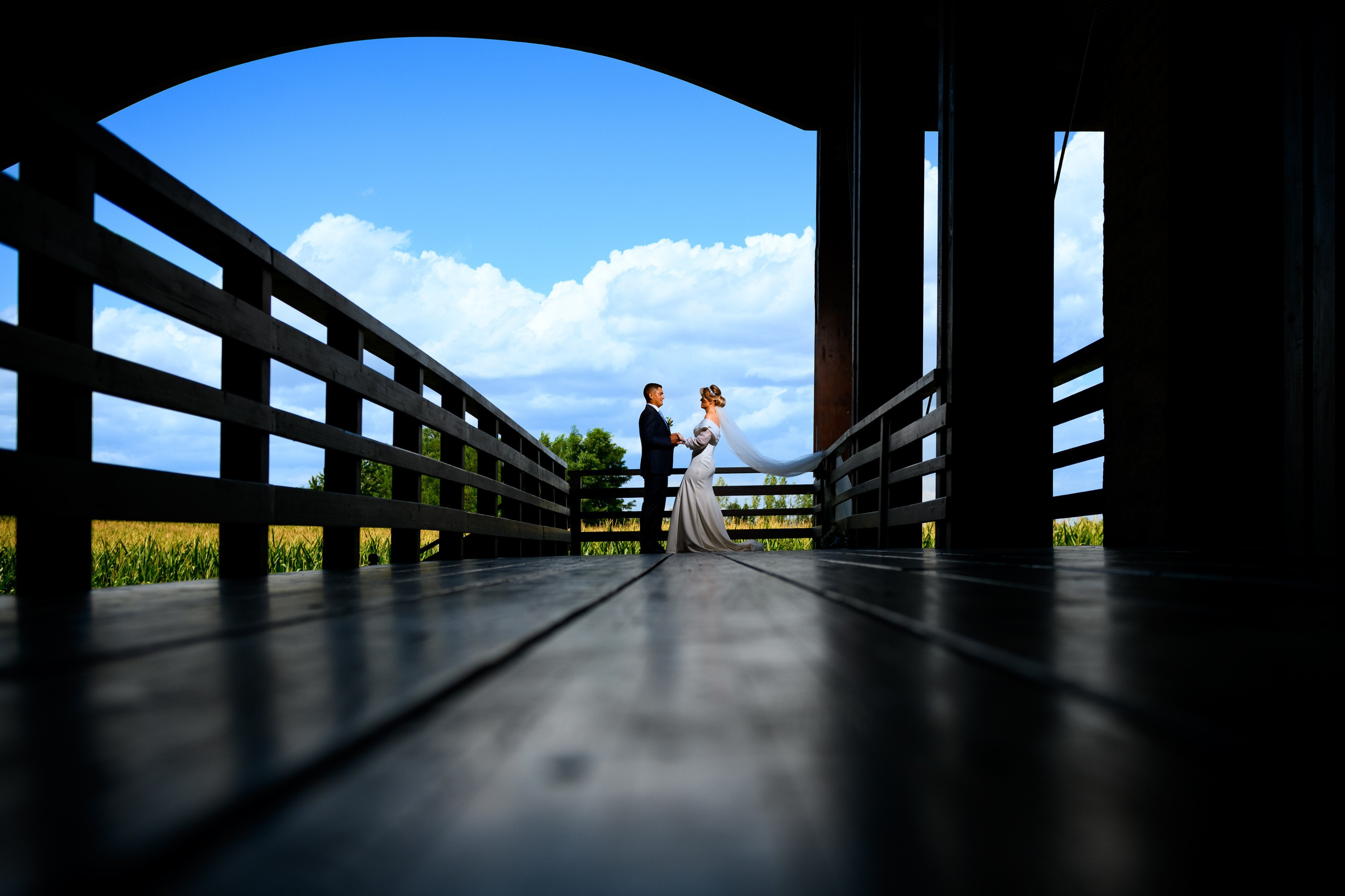 Alin Doana Visual Art