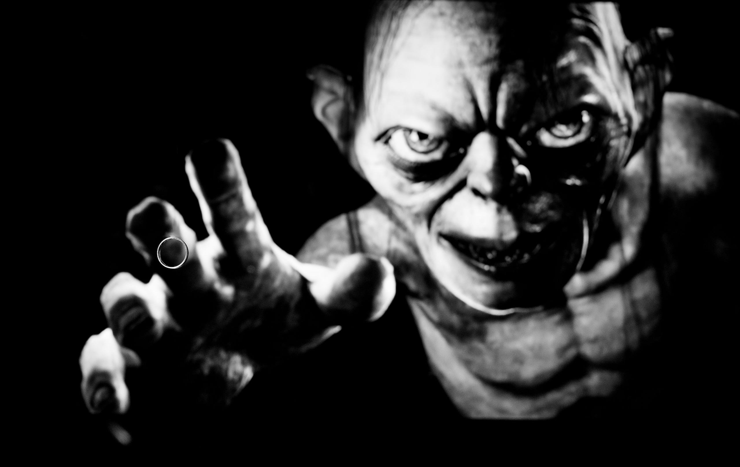 Portofoliu Fotograf Nunta Tulcea — Selectii | Codux. Codux — Fotograf Tulcea | Fotograf Evenimente