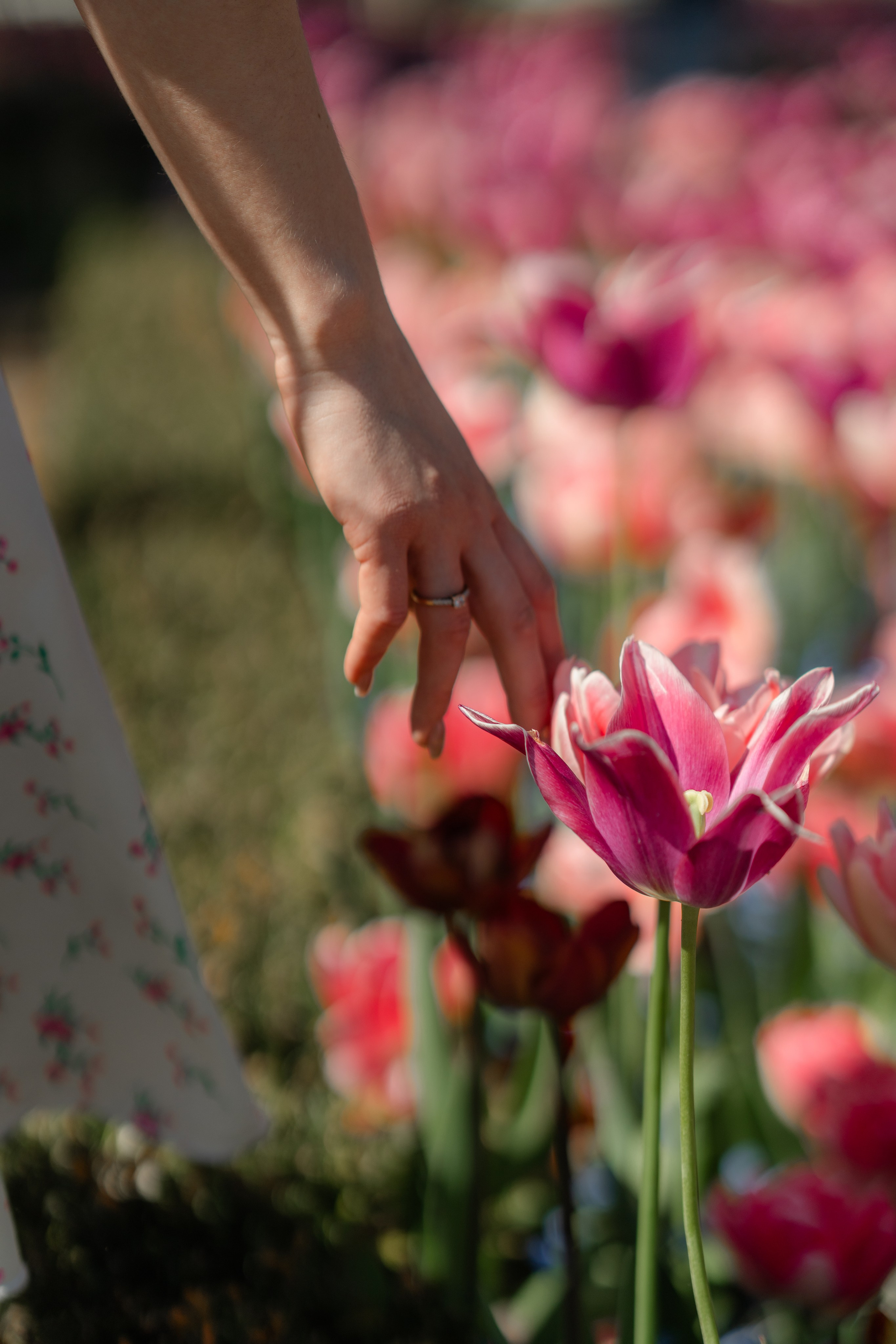 Nelia. Tonya Kyrylenko photographer in London