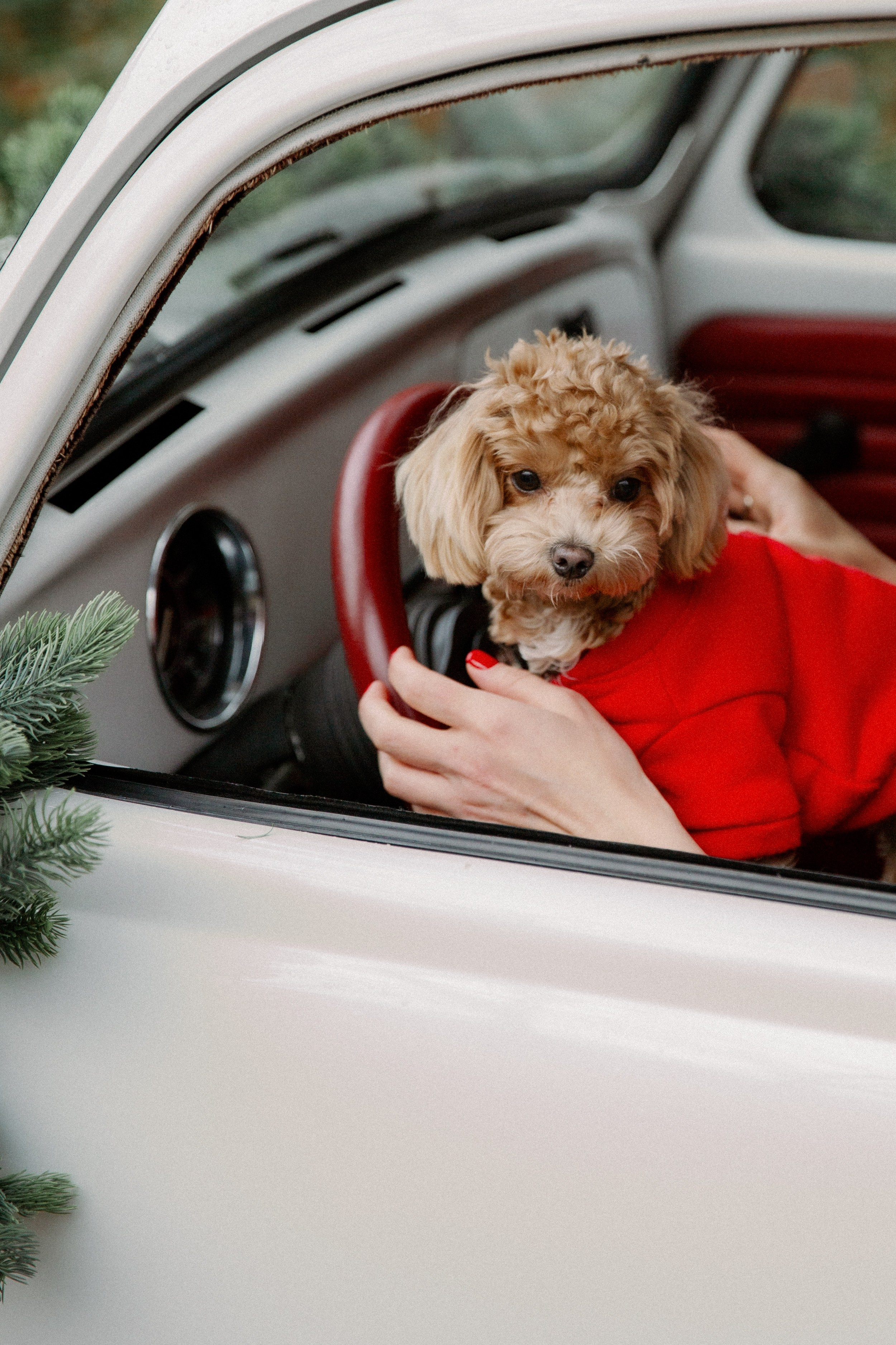 Familien. Huzyk Fotografie. Hochzeits- und Familienfotografin. Freiburg und Umgebung