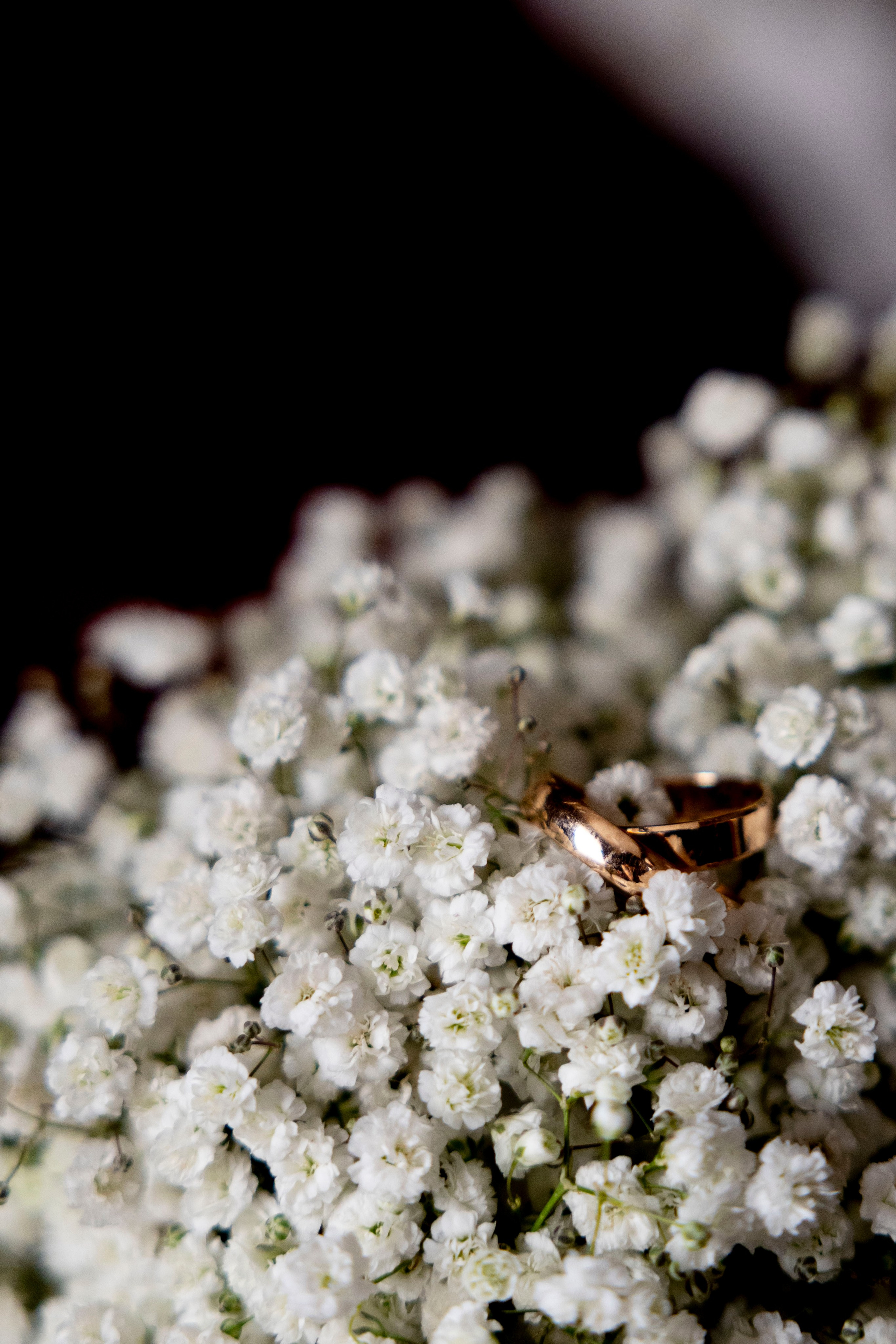 Nunta. Fotograf de Familie Avram Vlada Photo Chisinau