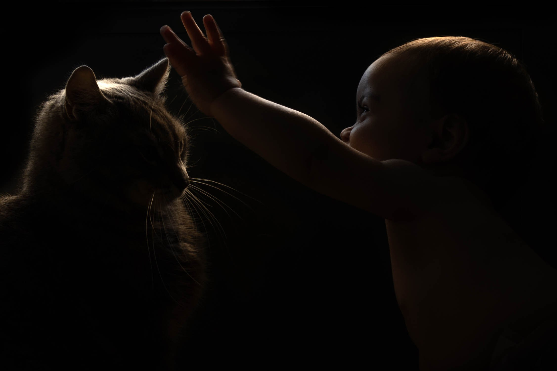 Family photographer in Helsinki, Victoria Guadagno