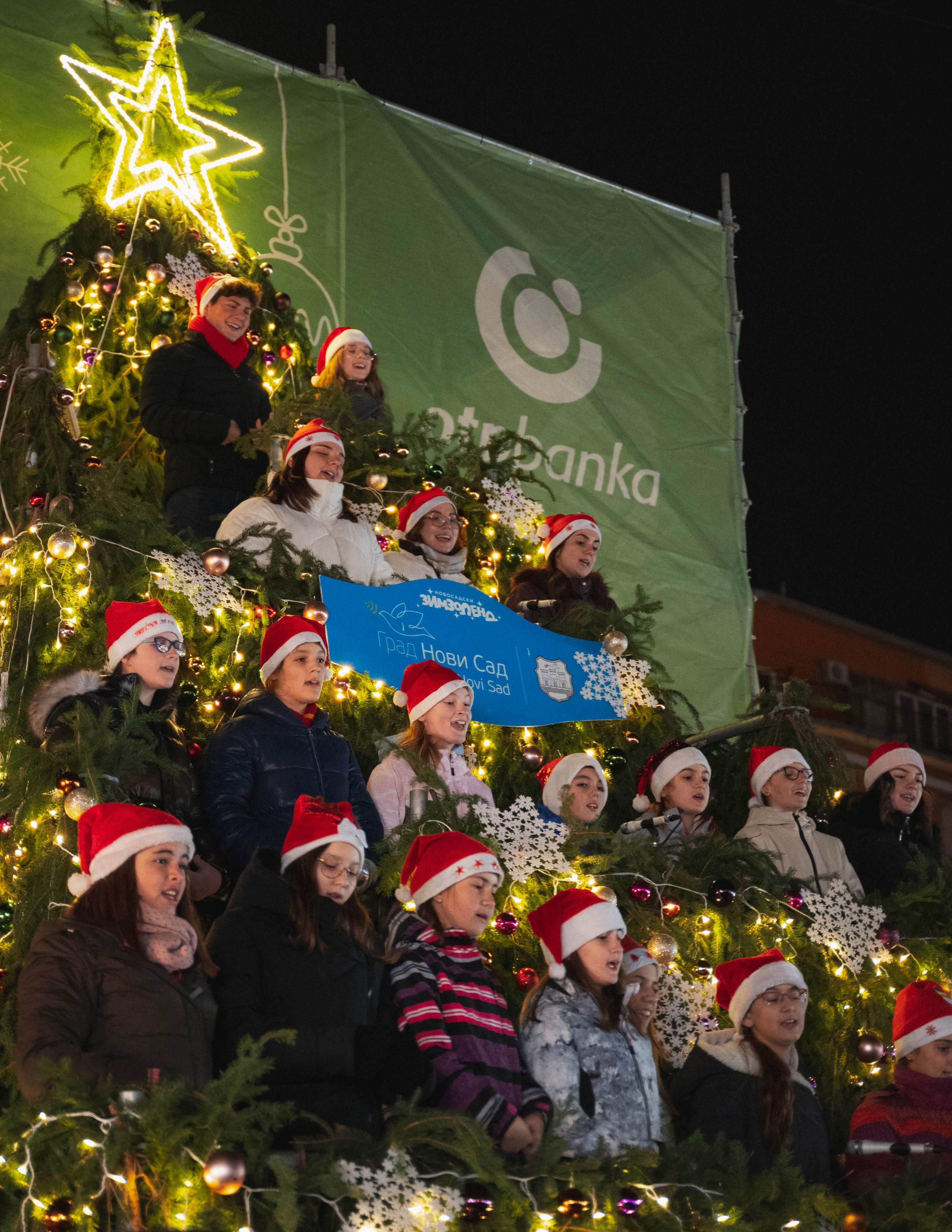 Novosadski Zimzolend. Жуков Студио