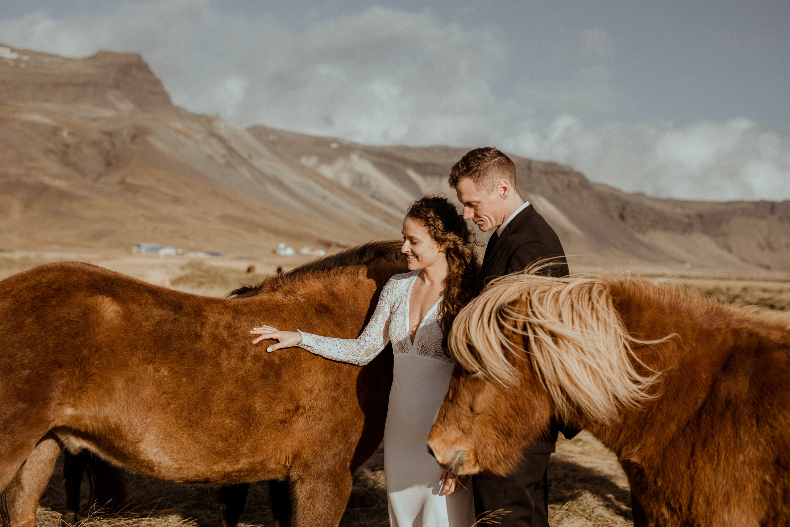 Scenic Fjords Elopement in Iceland. Iceland elopement photographer & videographer