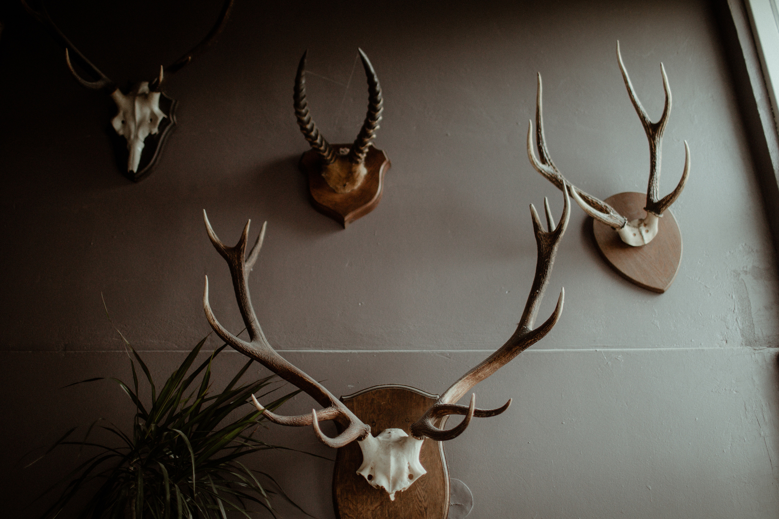Ceremony at secret waterfall Iceland. Iceland elopement photographer & videographer
