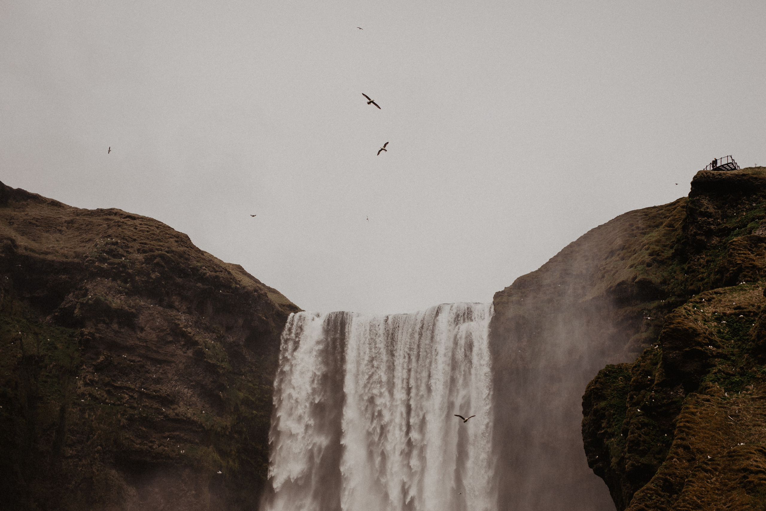 Vow exchanging ceremony in Iceland | Elopement in South Iceland. Iceland elopement photographer & videographer