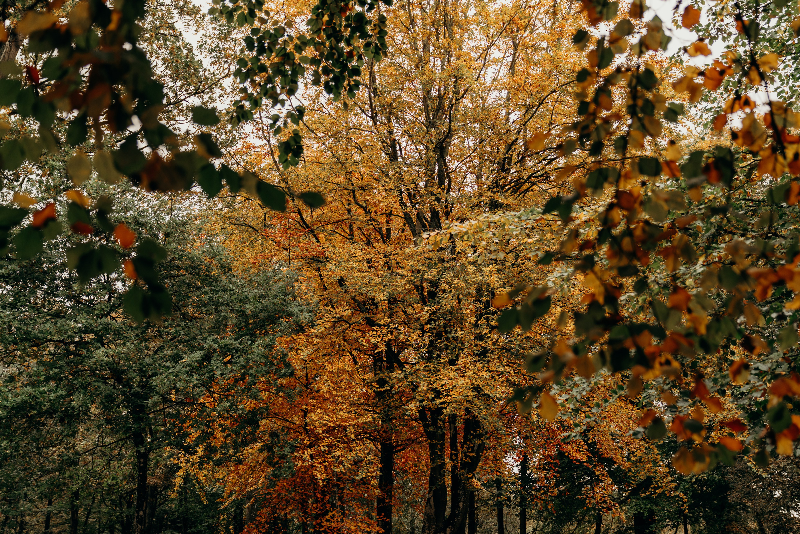 Bolam Lake family photography, Newcastle photographer