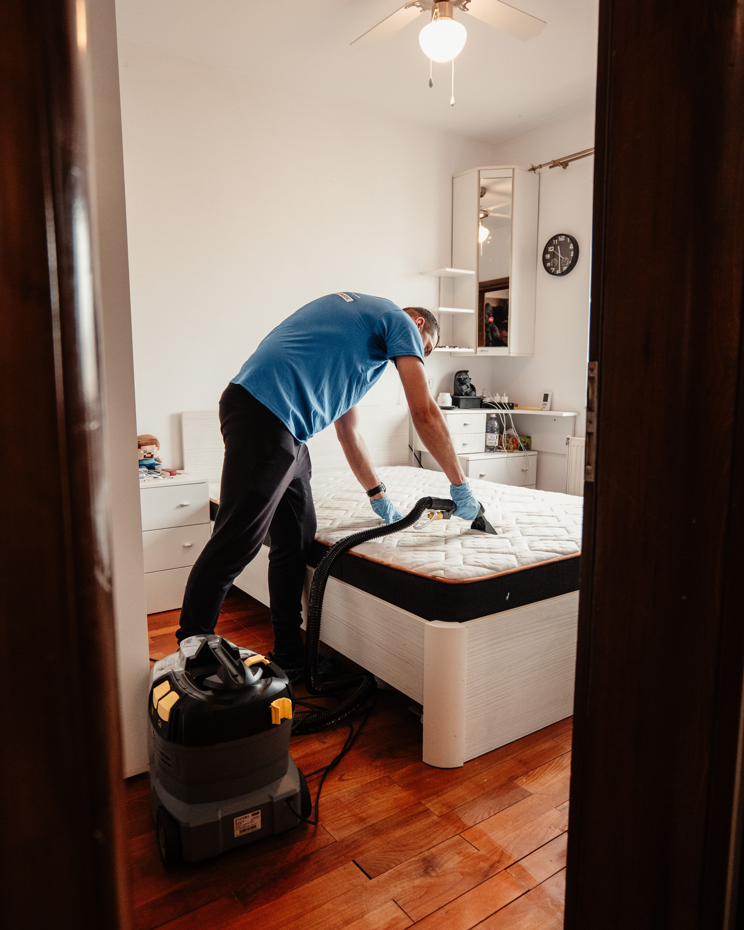 CLEVER CLEANING. Freesh Media Products