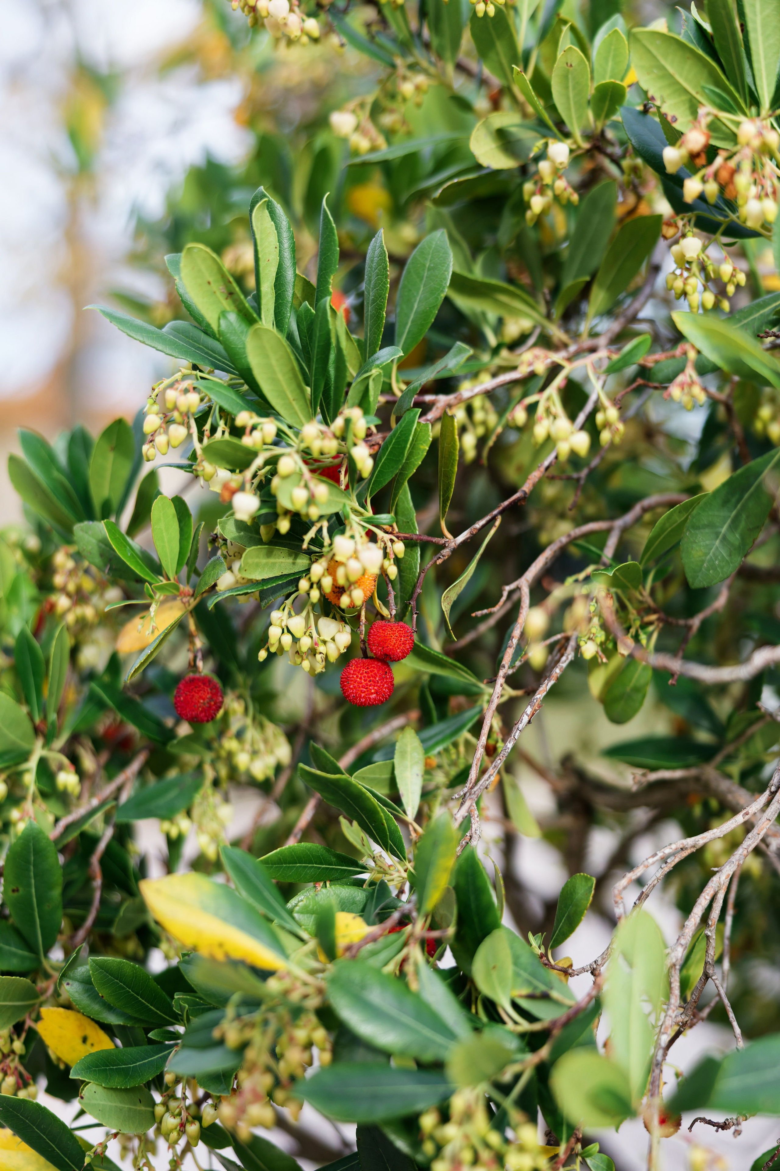 Wedding at Fonte Sala, Umbria Preview