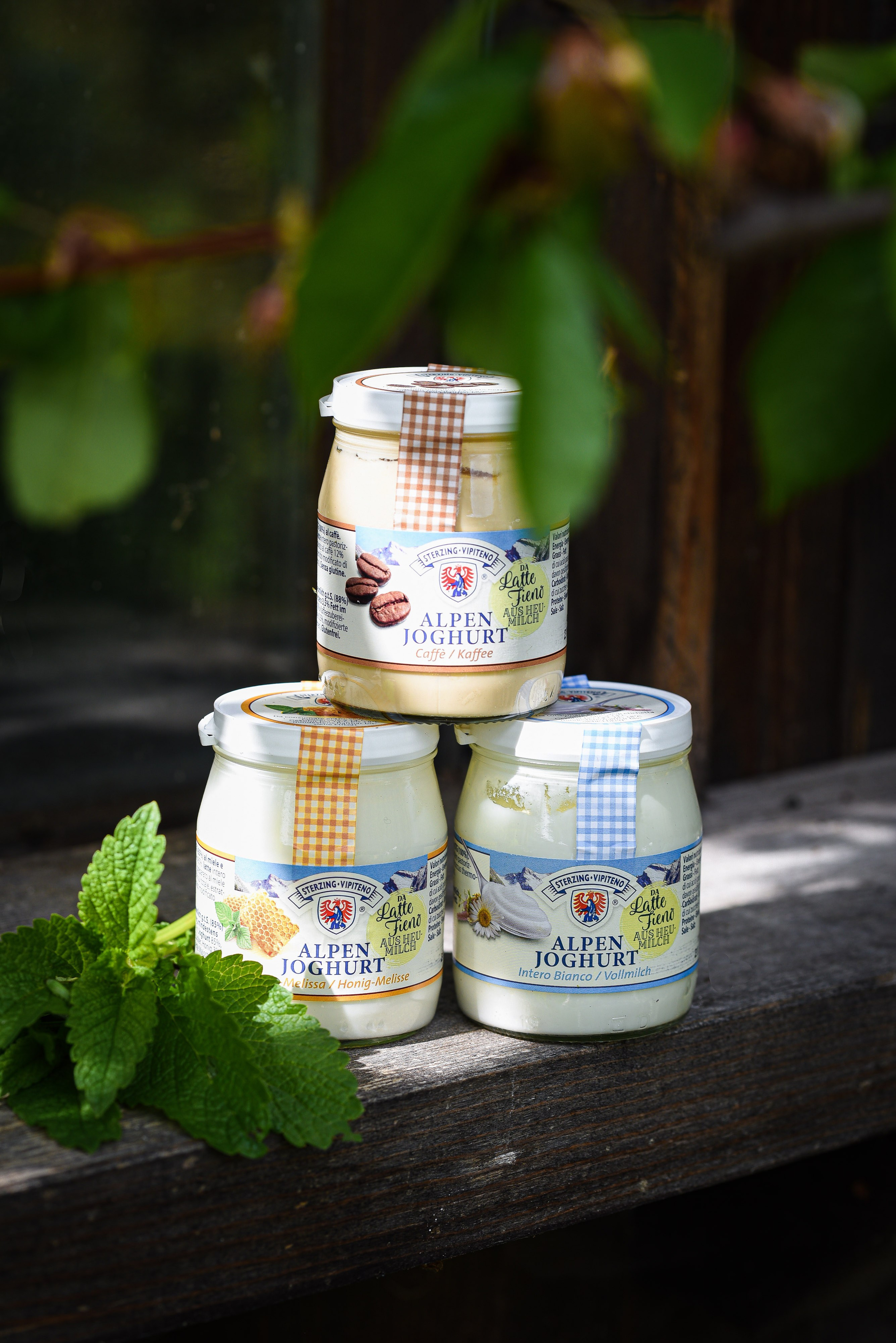 Sterzinger Joghurt. Familienfotografin aus Sterzing Elena Muehlsteiger