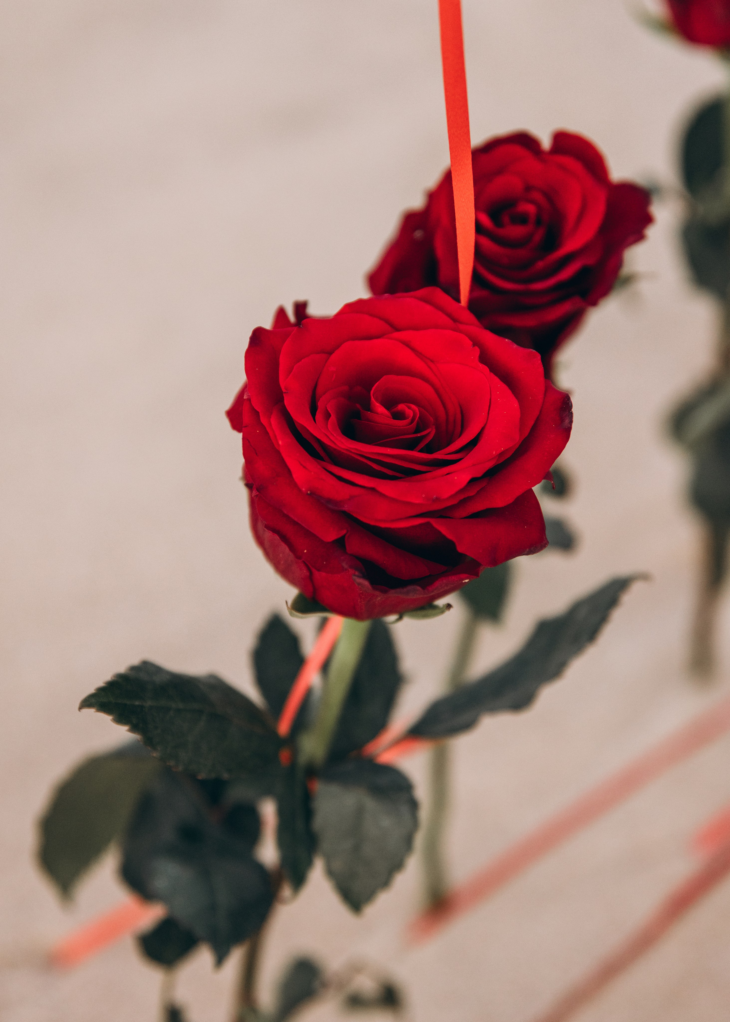 Pedido de Casamento. Luxury Wedding Photography & Cinematic Films | Portugal & Destination Weddings | Ricardo & Mary Pictures