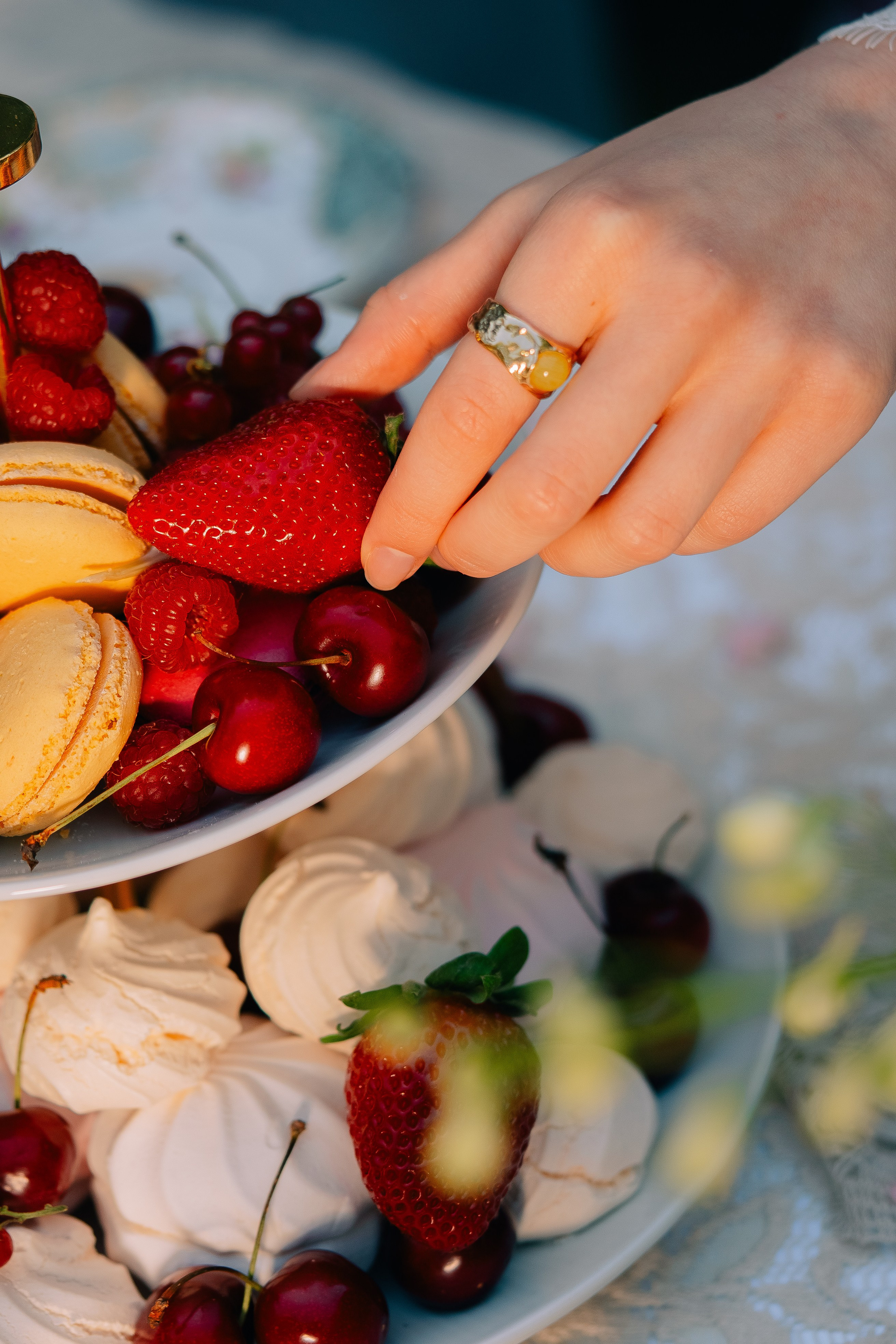 Garden Tea Party. Maria Sher. Fotógrafa profissional do Porto, Portugal