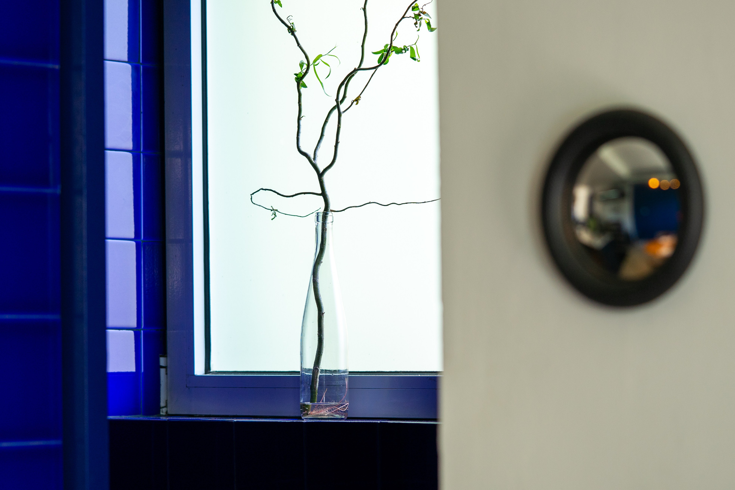 Borboleta. Maria Sher. Fotógrafa profissional do Porto, Portugal