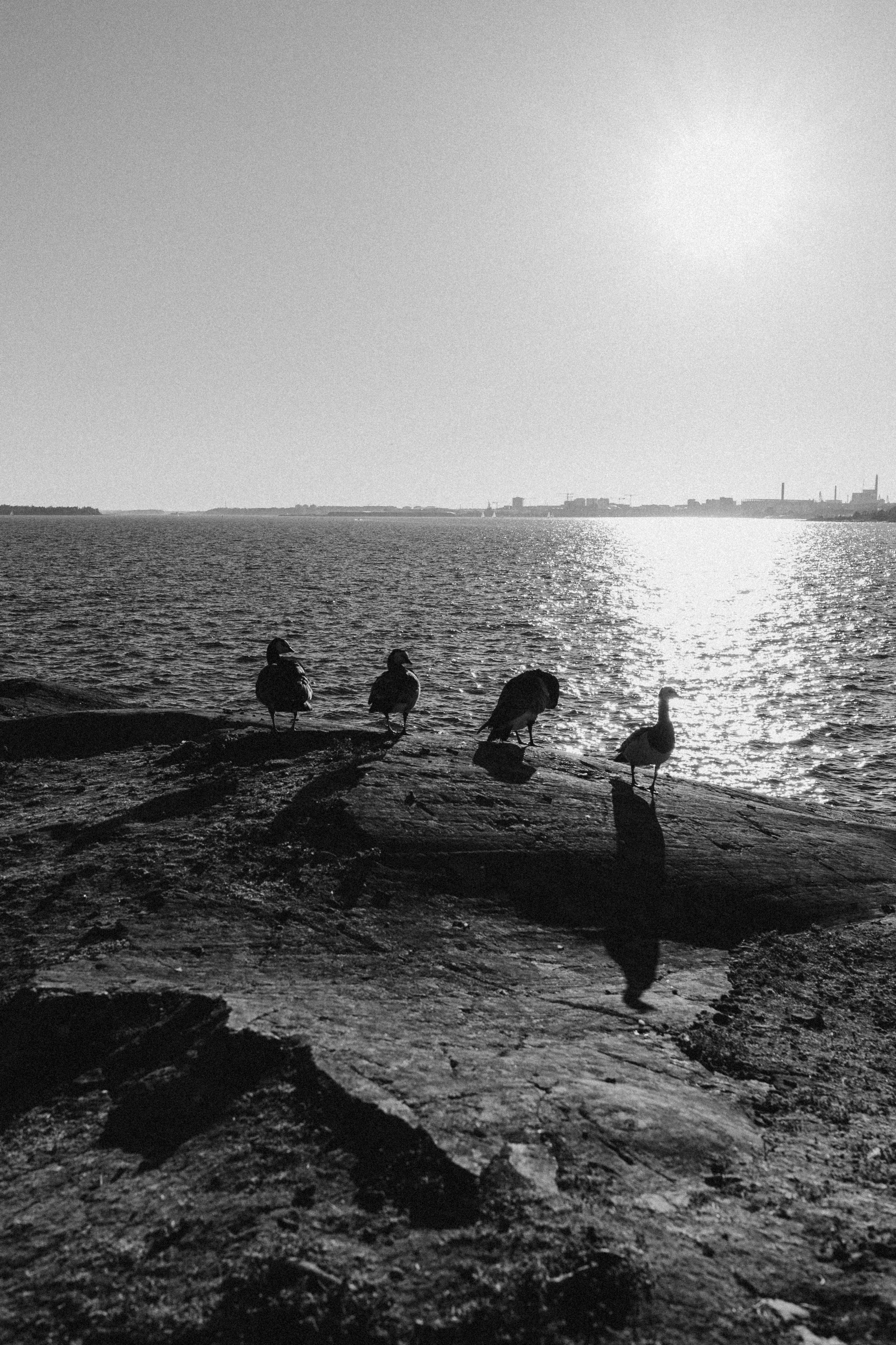 Beloved. Wedding and portrait photographer in Helsinki Vickan O