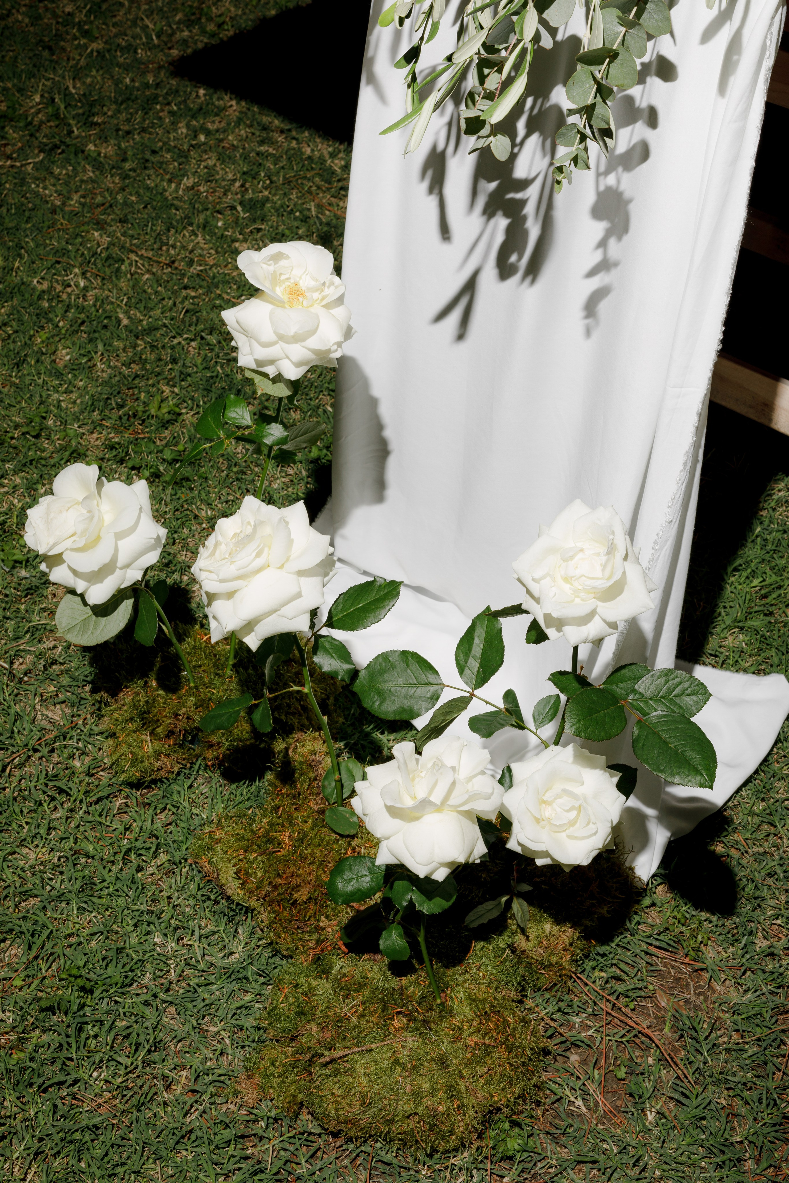 Dom&Ally. Wedding photographer Italy