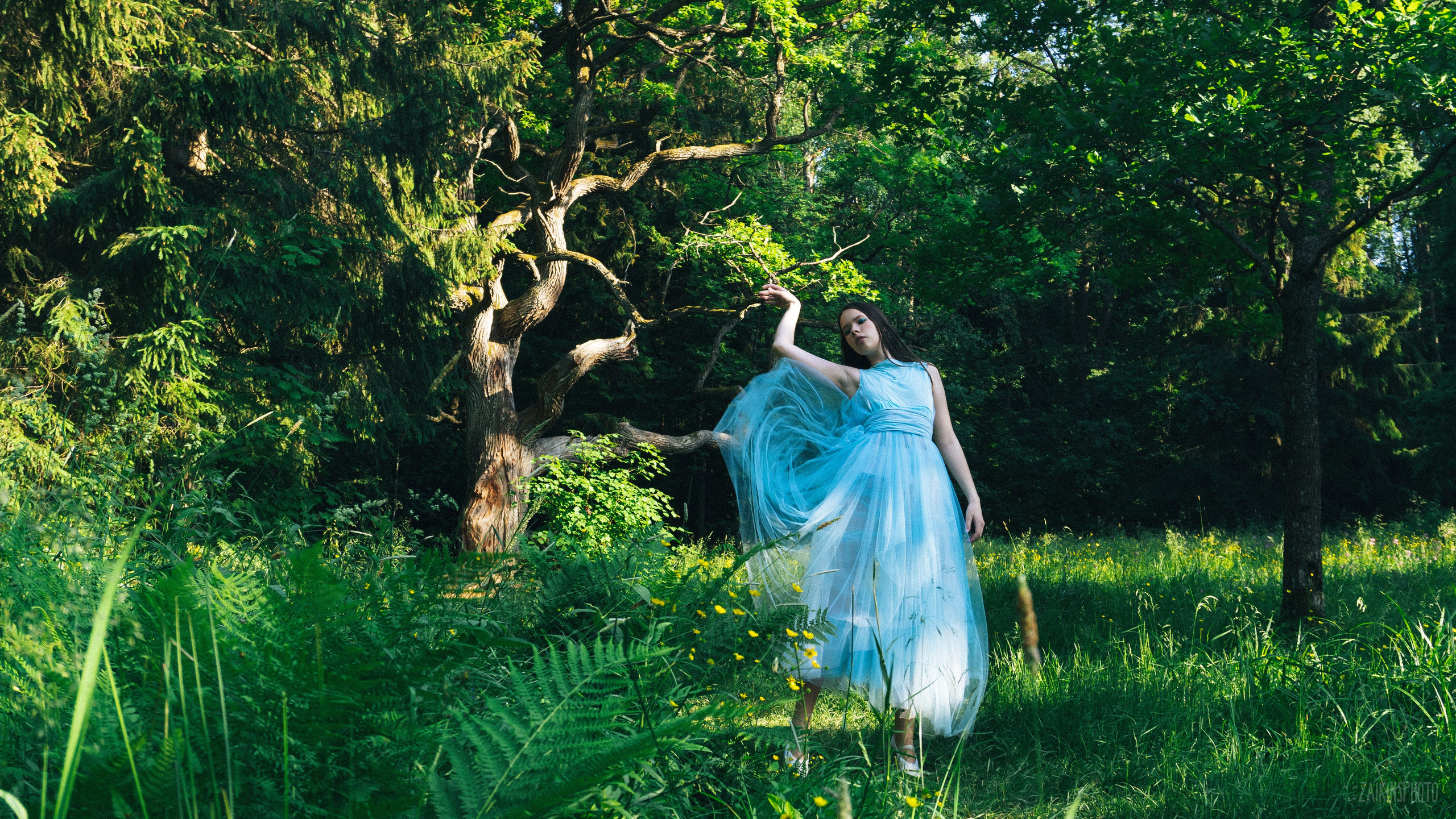 Alice In Wonderland. Main