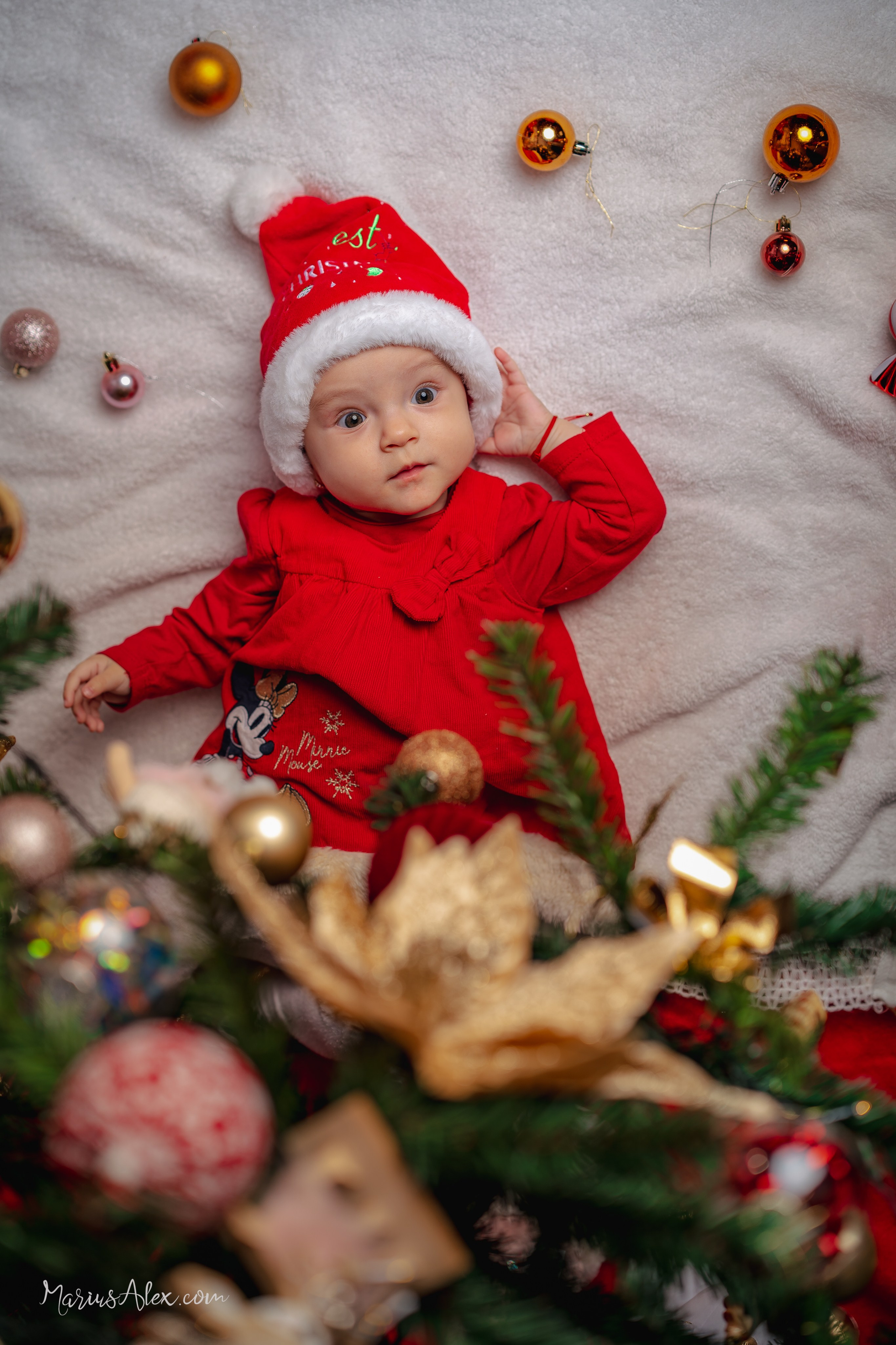 Ședințe foto de Crăciun. Marius Alex fotograf de eveniment si portret din Suceava