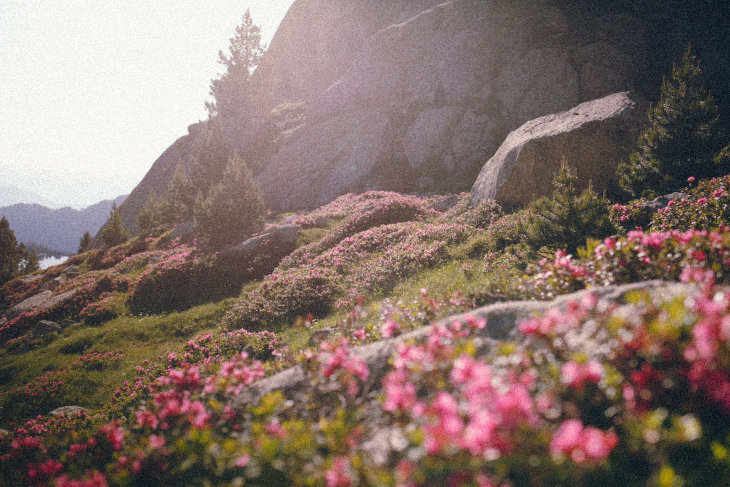 Mountain scenery near Josep M. Blanc Refuge with clear skies