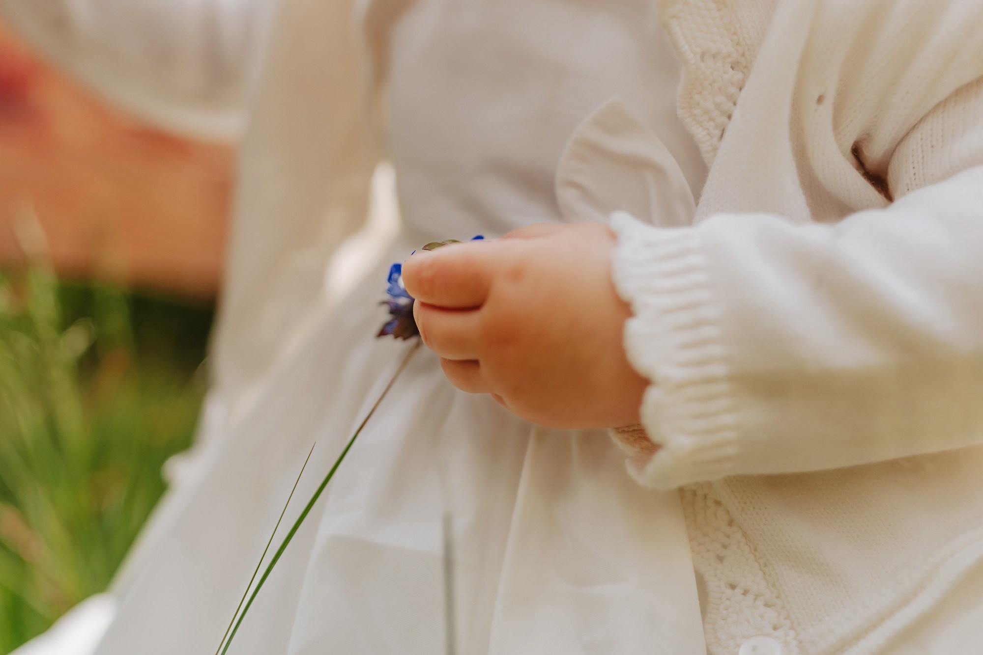 Ilinca. Fotograf și videograf de nuntă R. Moldova, Romania