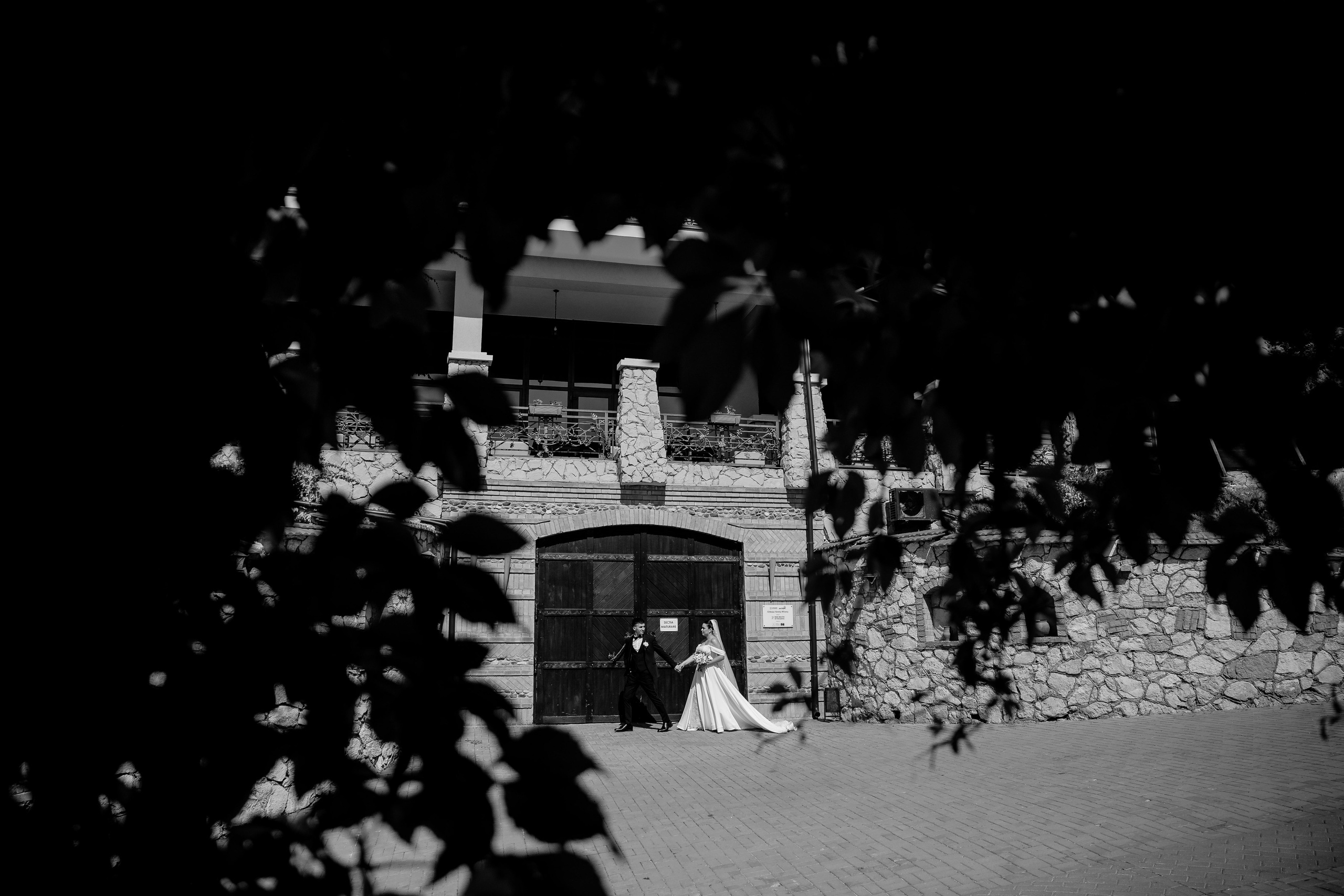 Nicolae & Kleopatra. Servicii Foto/Video